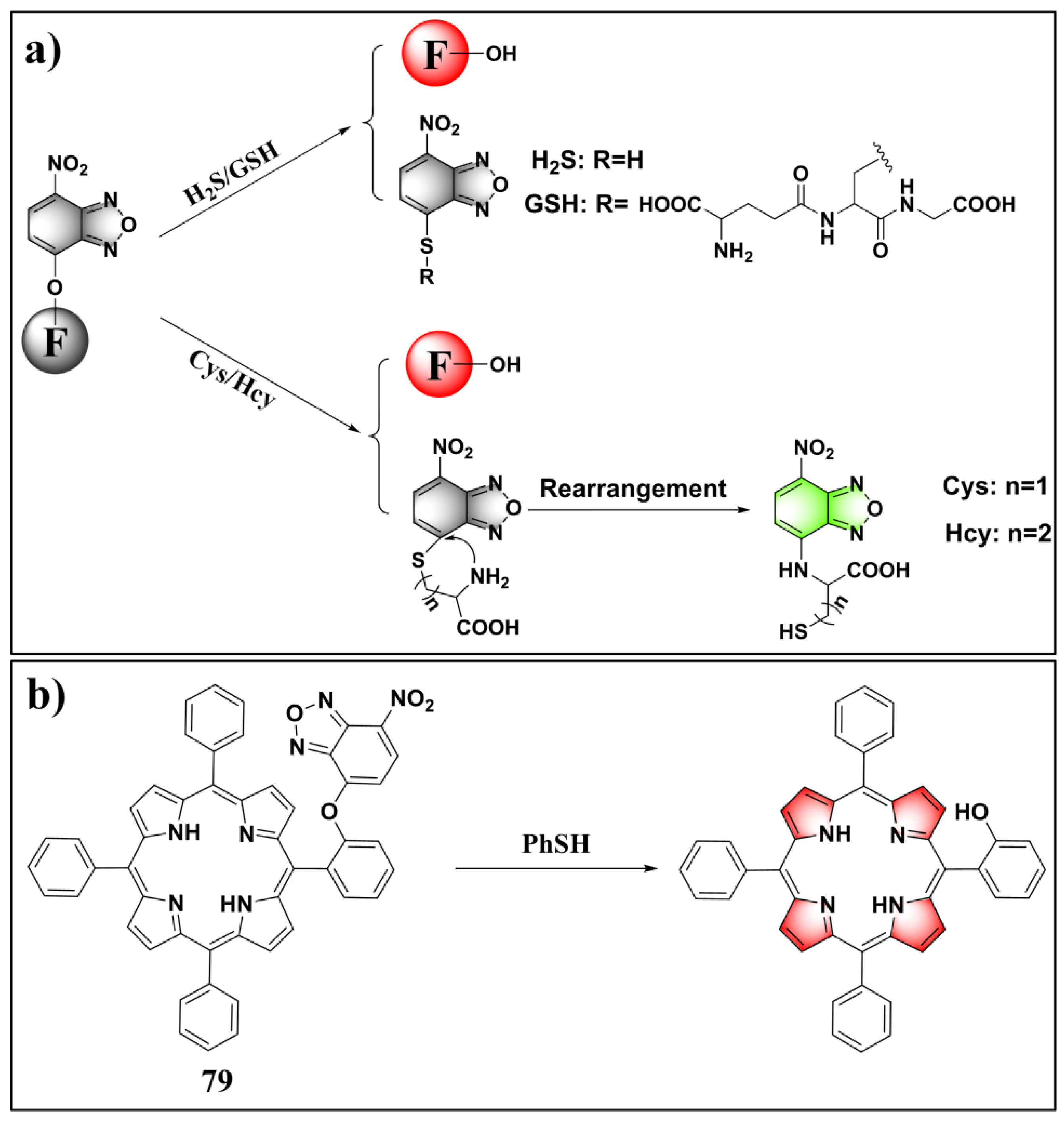 Molecules 24 03716 g029