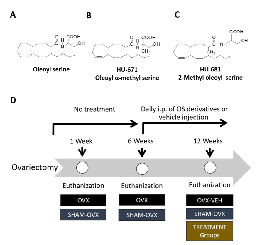 Molecules 24 03719 g001