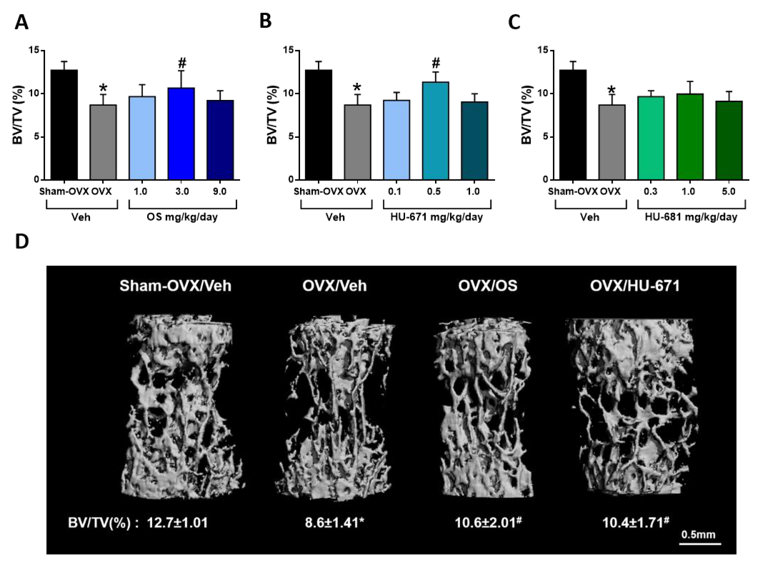 Molecules 24 03719 g004