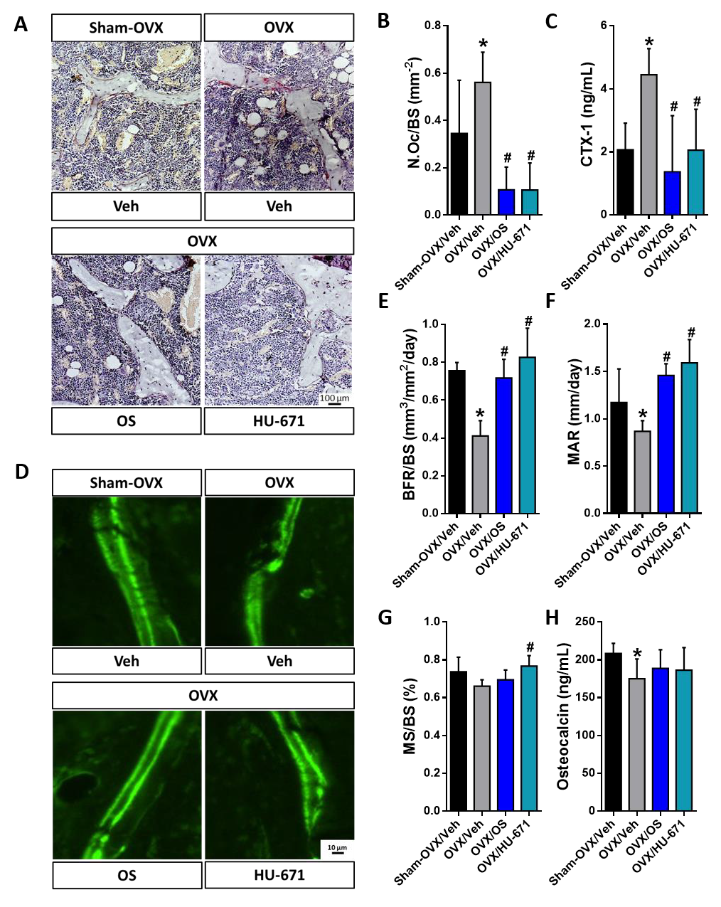 Molecules 24 03719 g005