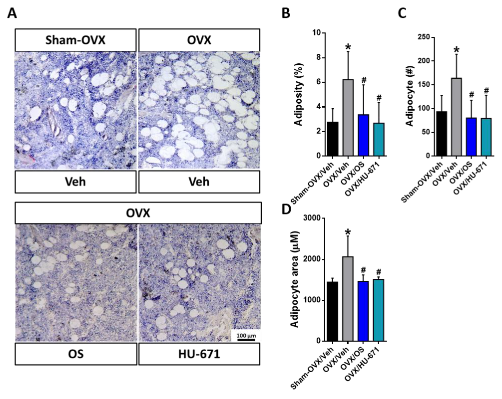 Molecules 24 03719 g006