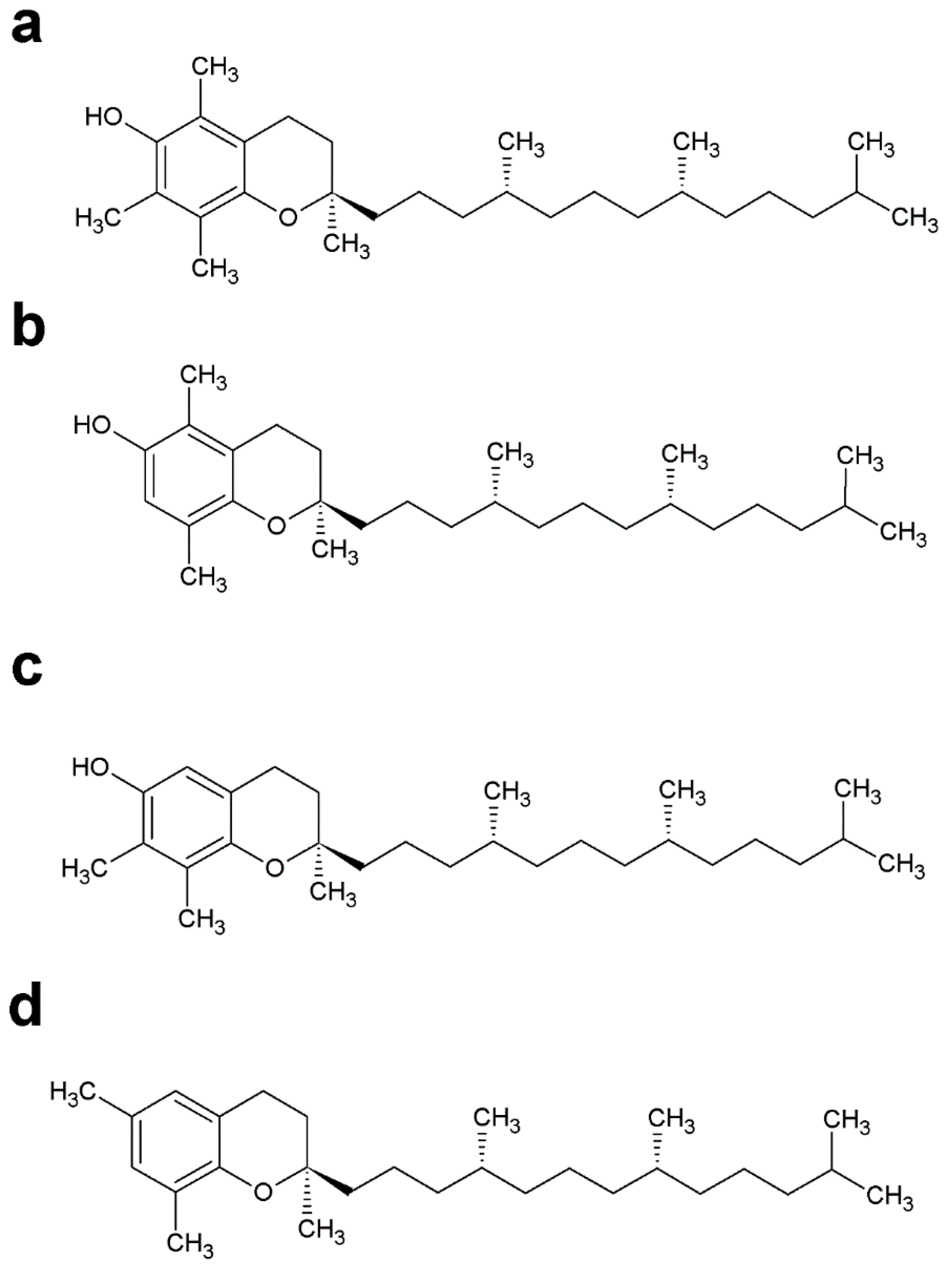 Molecules 24 03721 g008