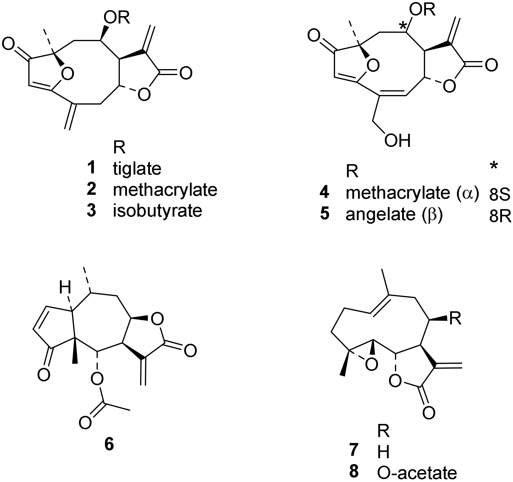 Molecules 24 03737 g001