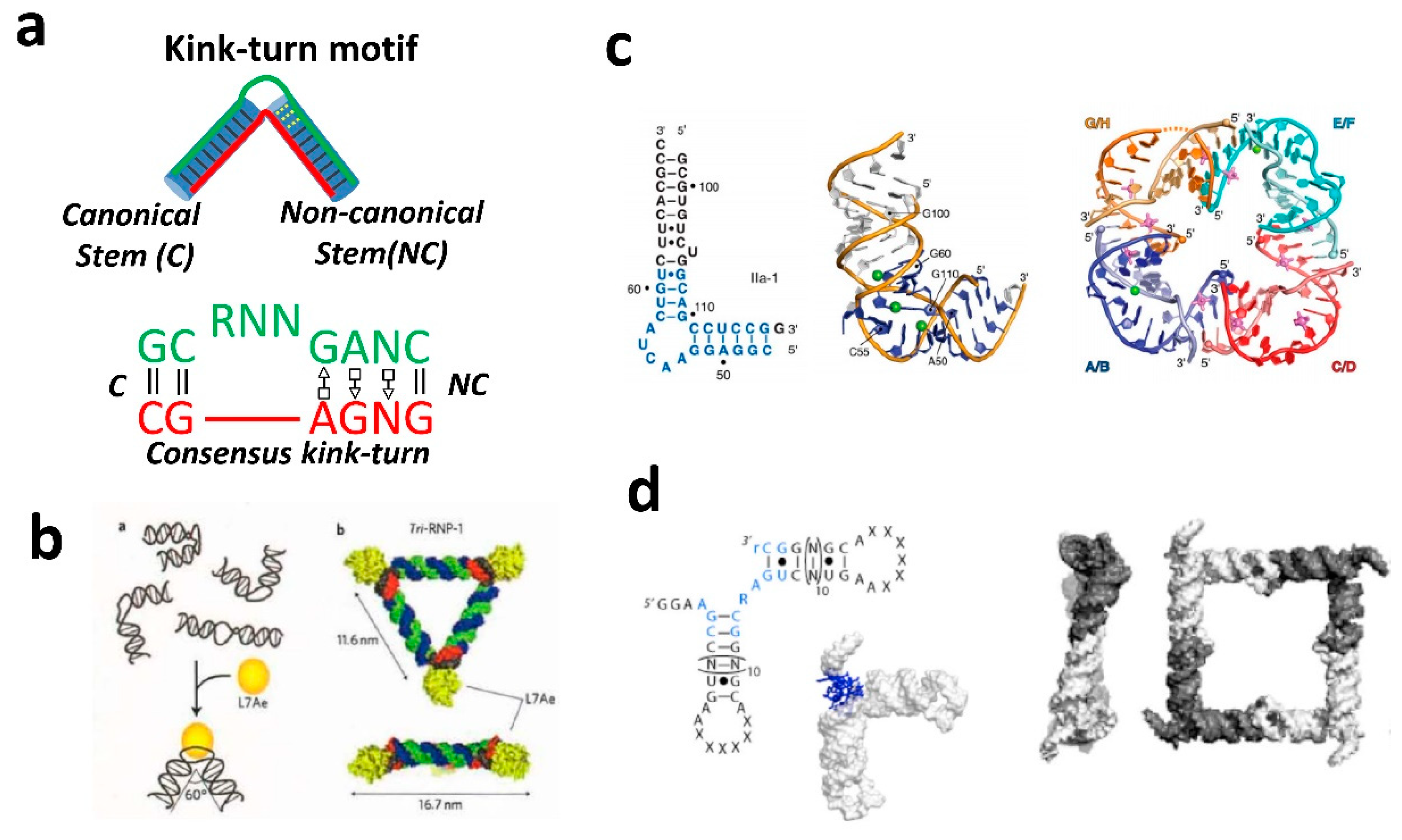 Molecules 24 03740 g002 Molecules 24 03740 g002