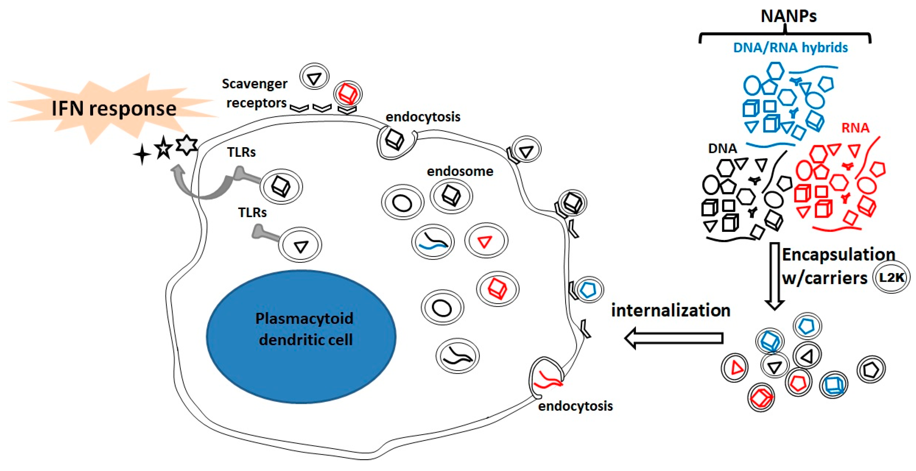 Molecules 24 03740 g005 Molecules 24 03740 g005