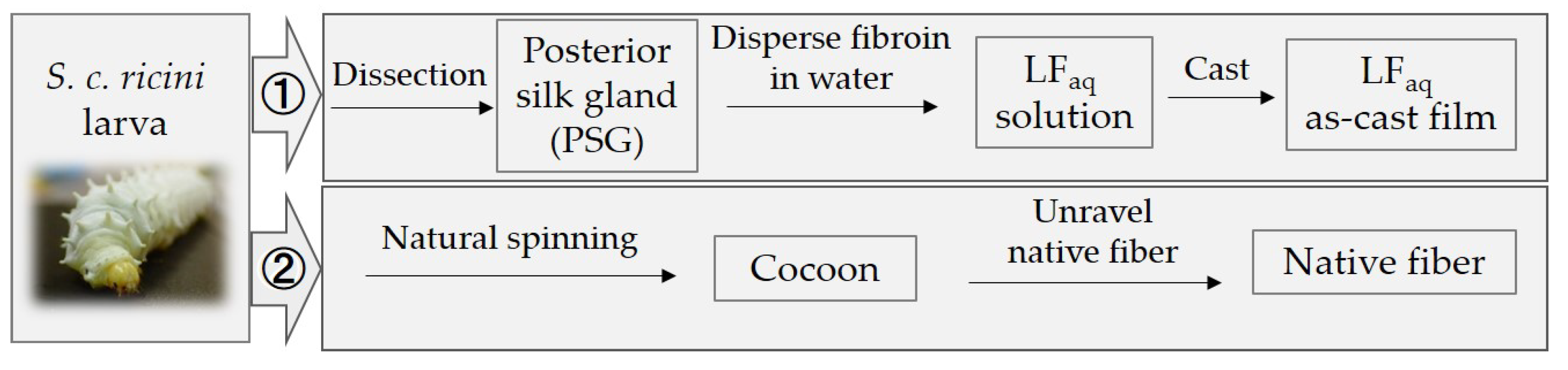 Molecules 24 03741 sch001