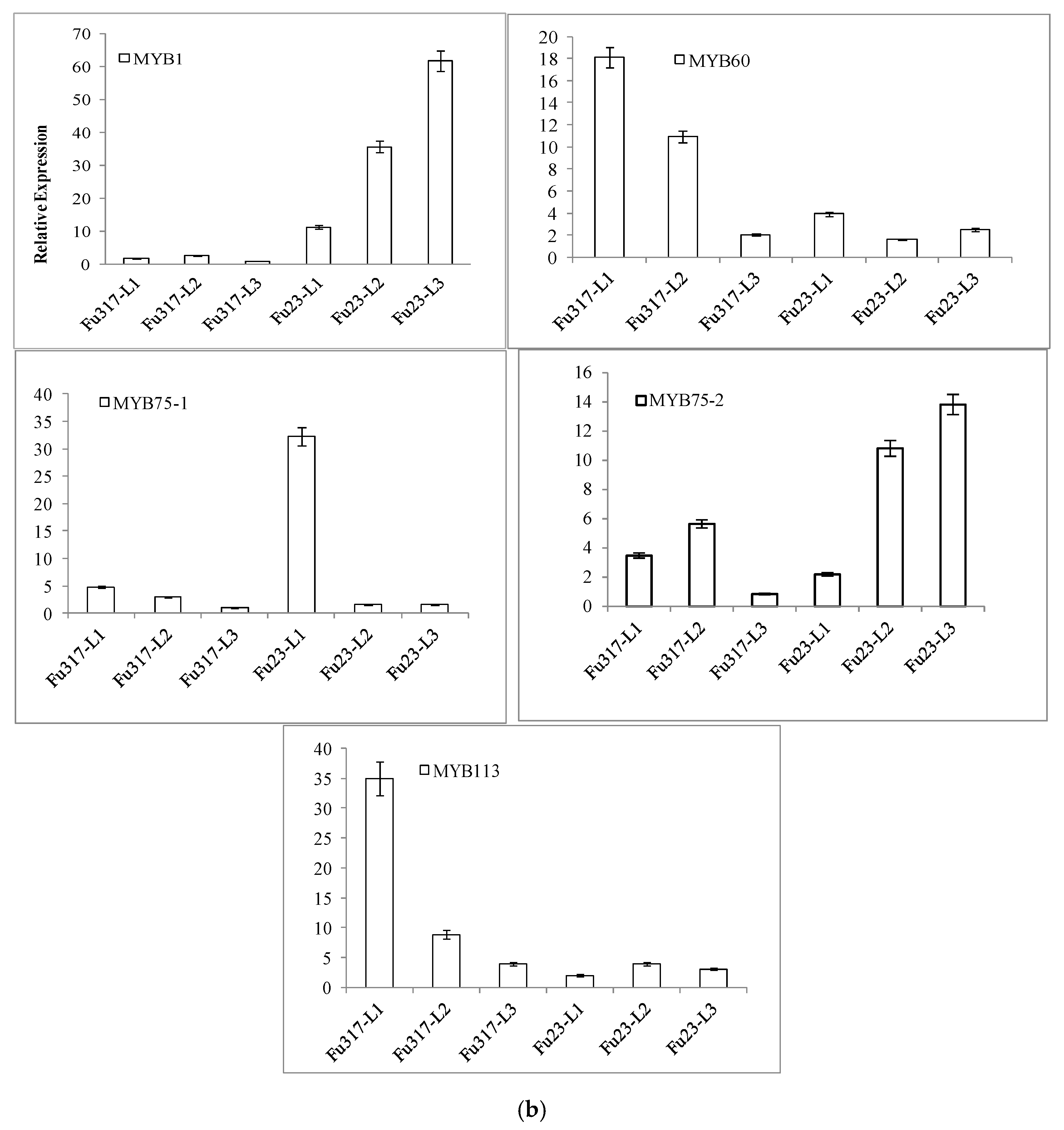 Molecules 24 03743 g003b Molecules 24 03743 g003b