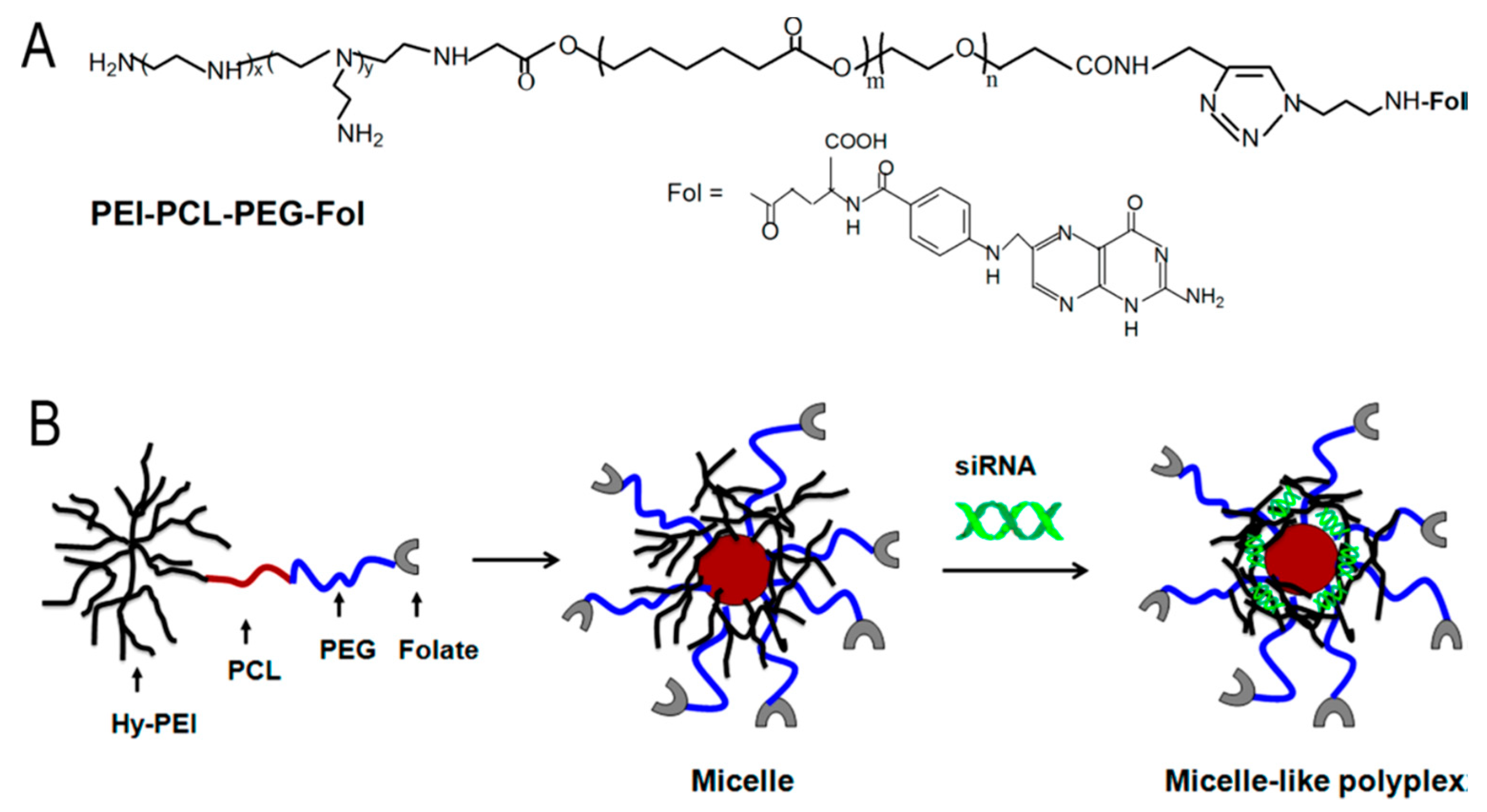 Molecules 24 03744 g004