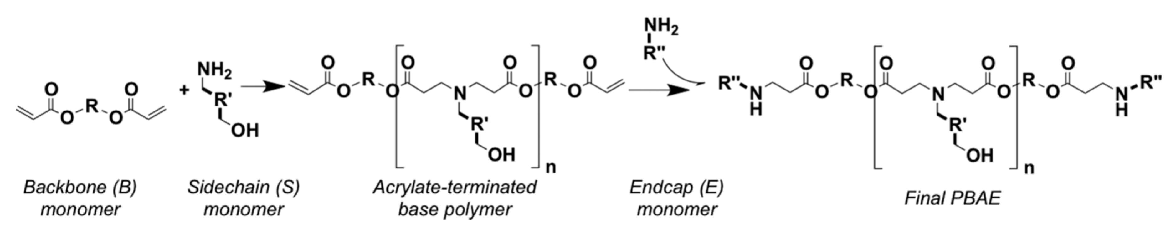 Molecules 24 03744 g005