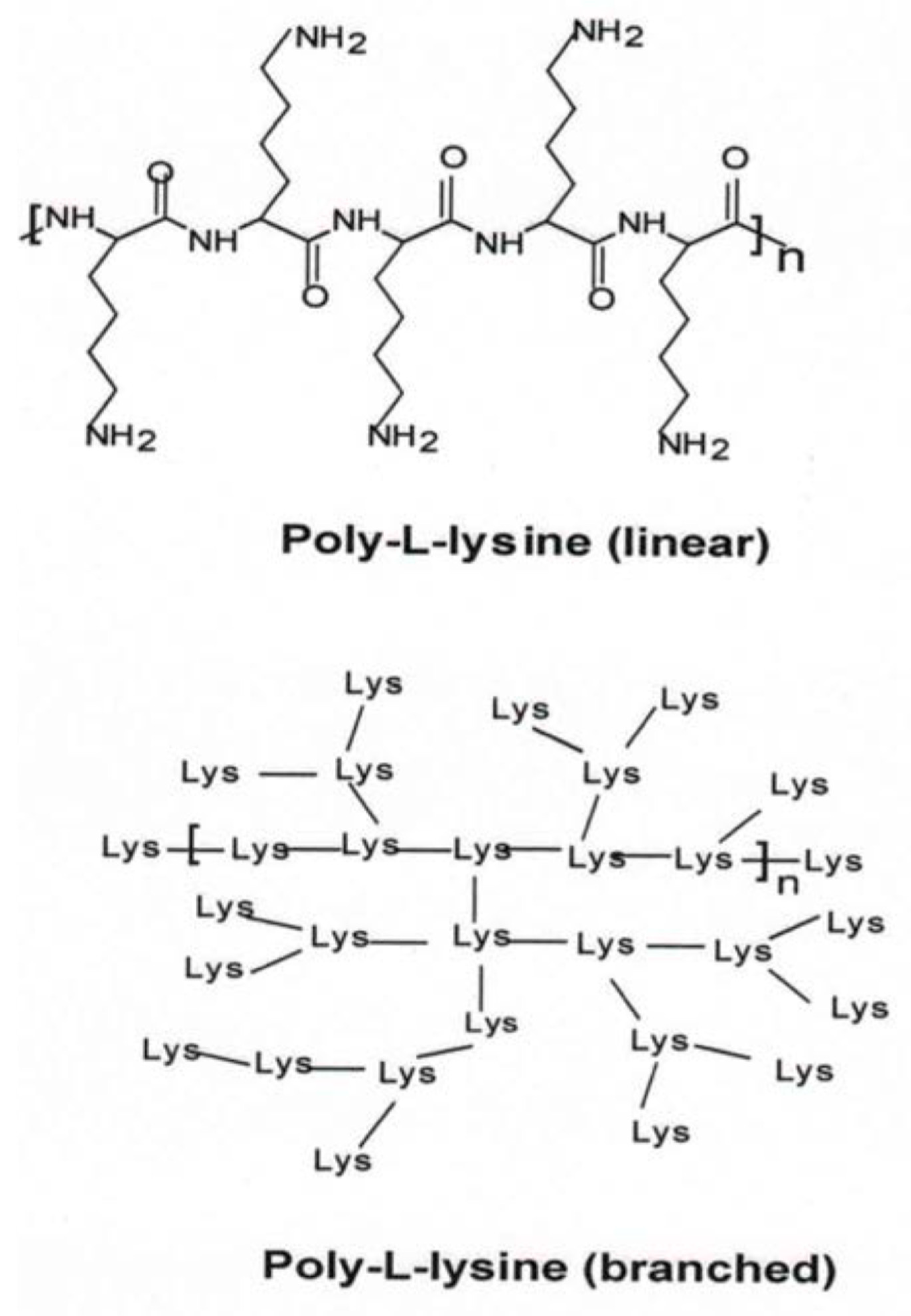 Molecules 24 03744 g007