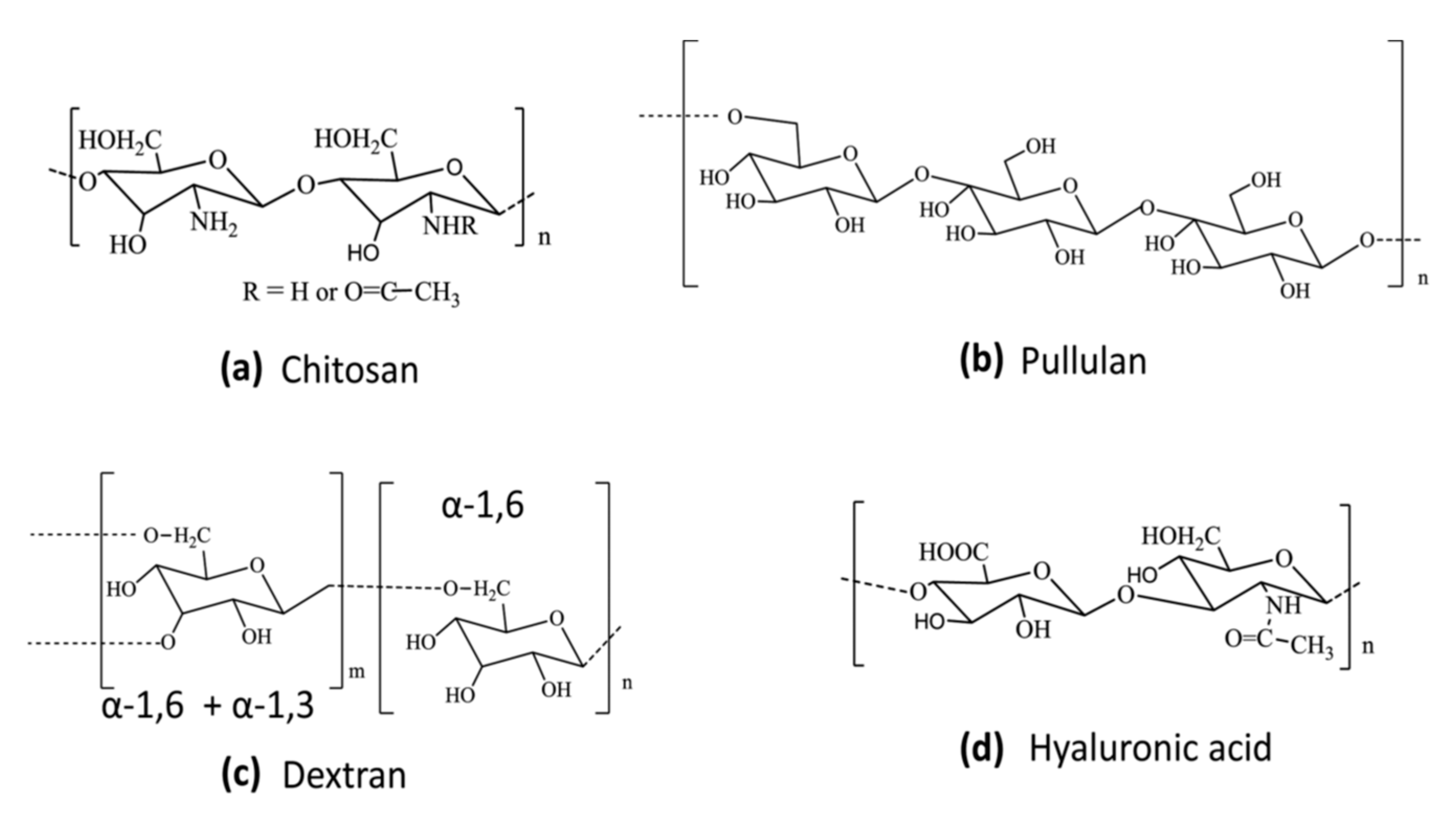 Molecules 24 03744 g008