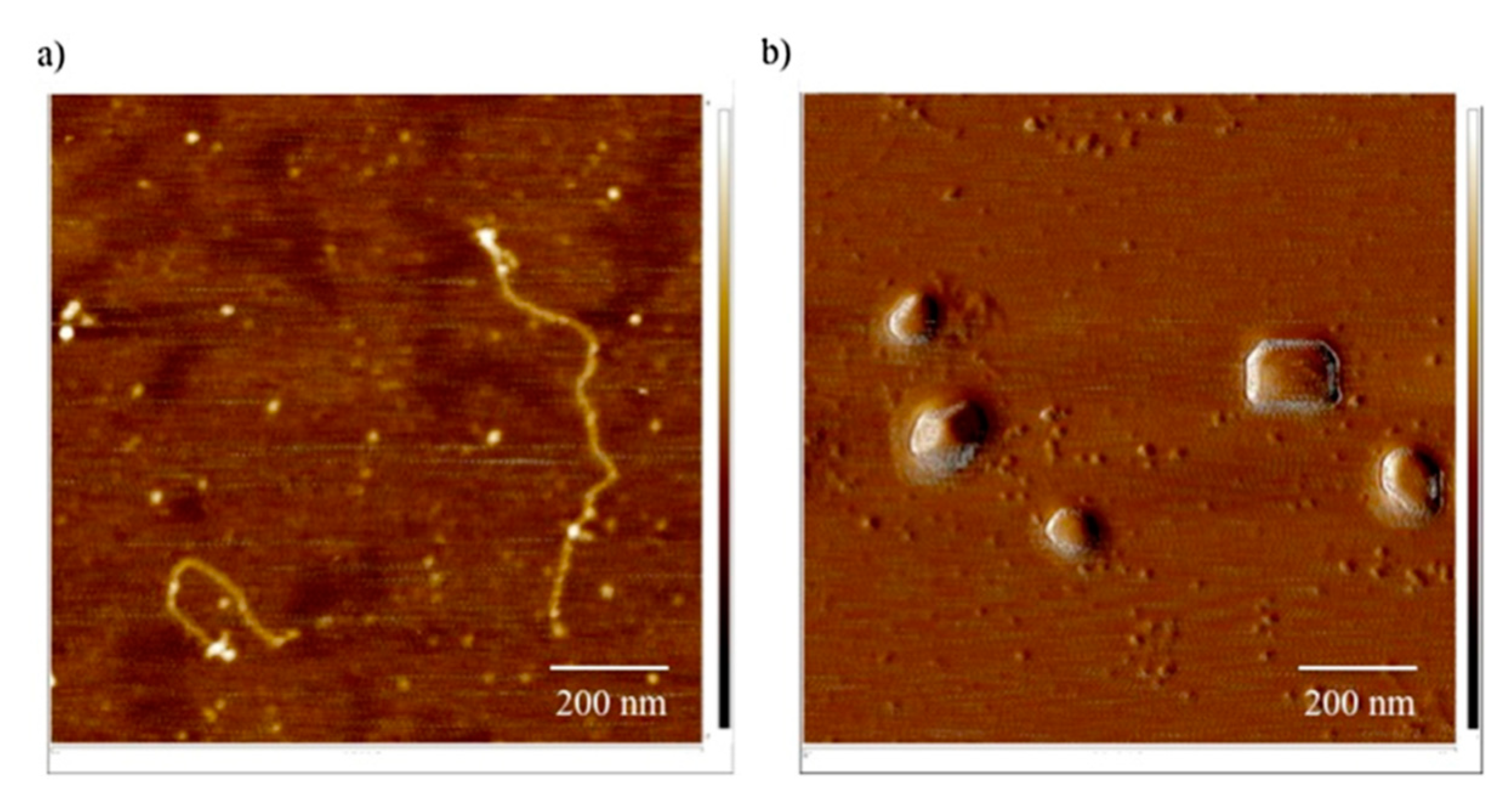 Molecules 24 03744 g009