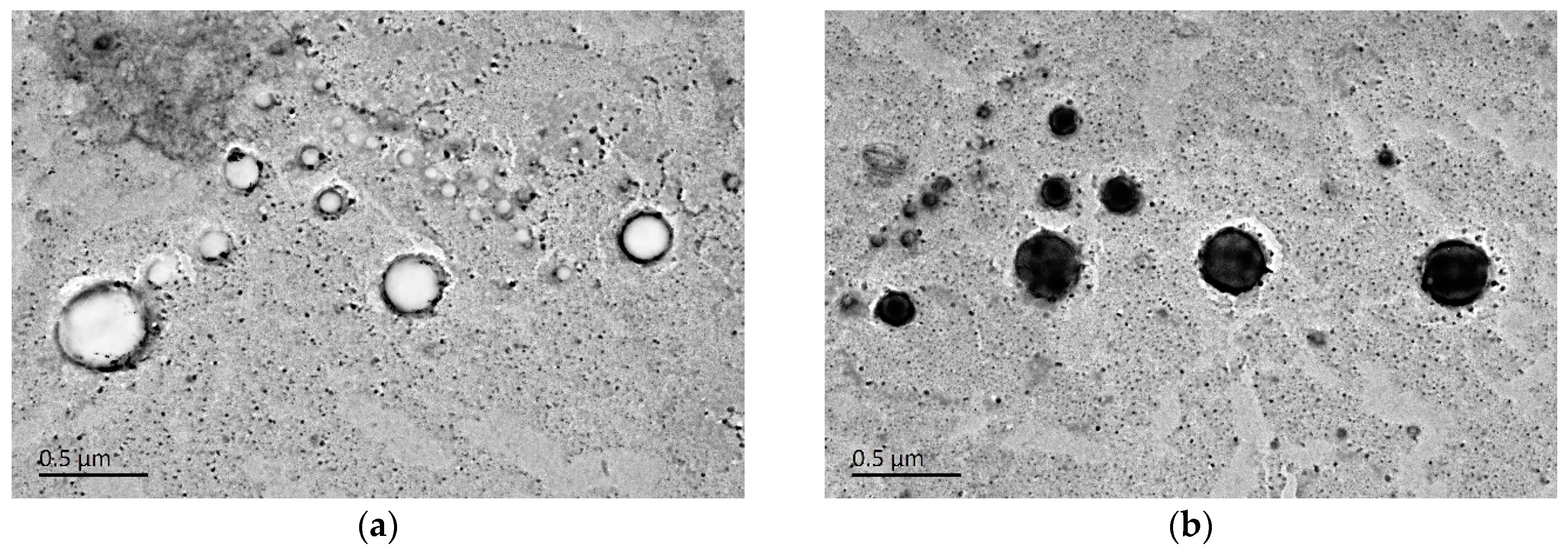Molecules 24 03747 g006 Molecules 24 03747 g006