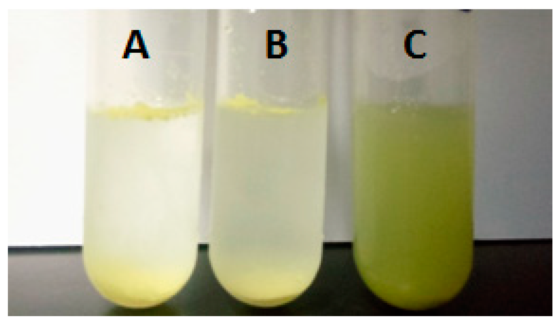 Molecules 24 03747 g007 Molecules 24 03747 g007