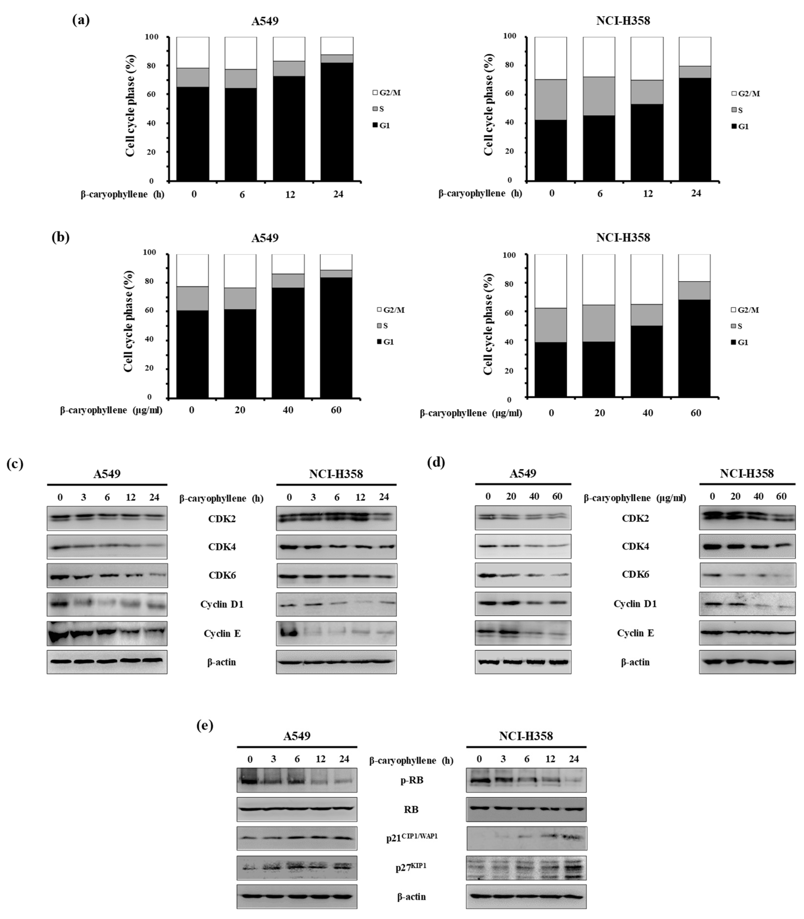 Molecules 24 03754 g004 Molecules 24 03754 g004