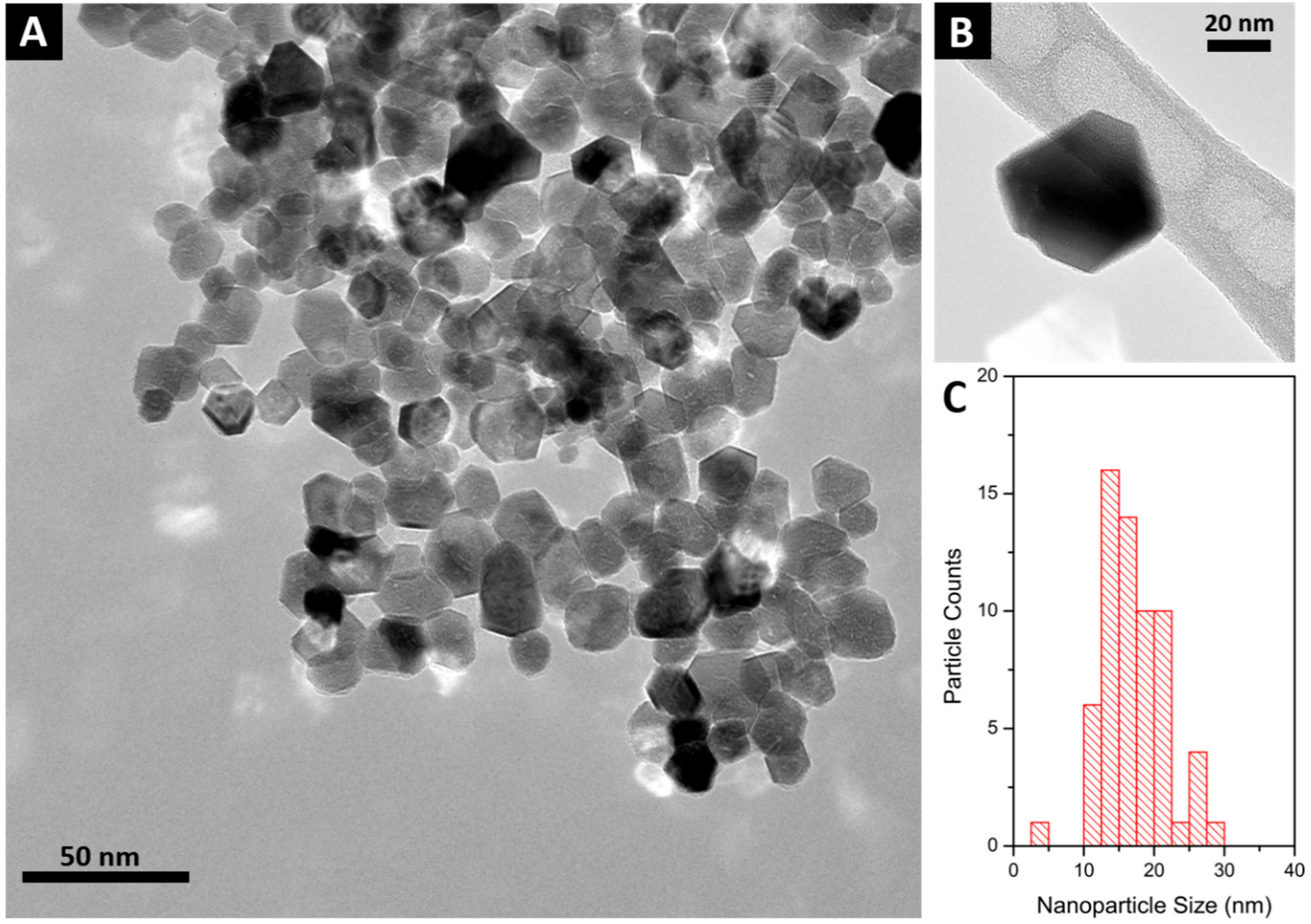 Molecules 24 03759 g001