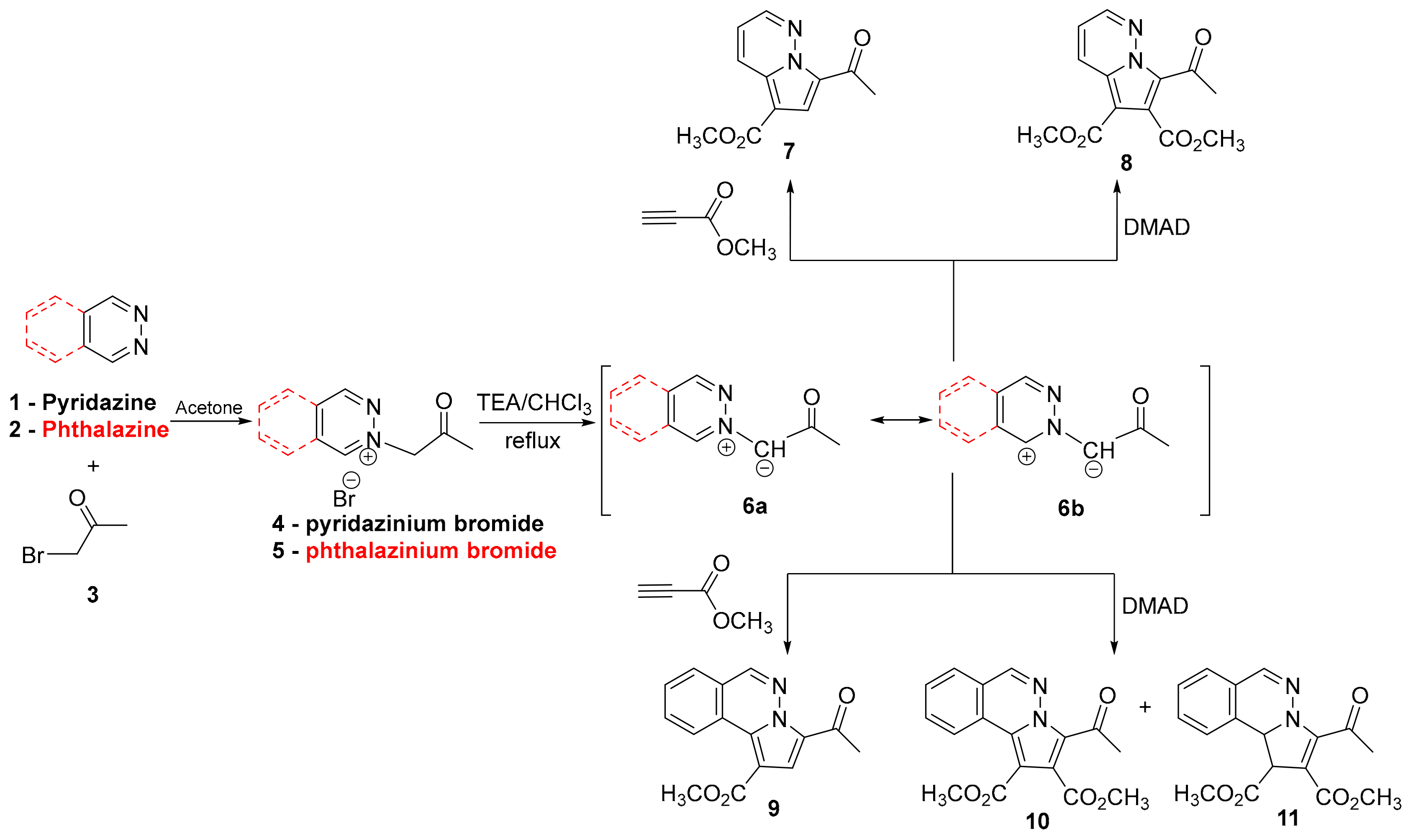 Molecules 24 03760 sch001 Molecules 24 03760 sch001
