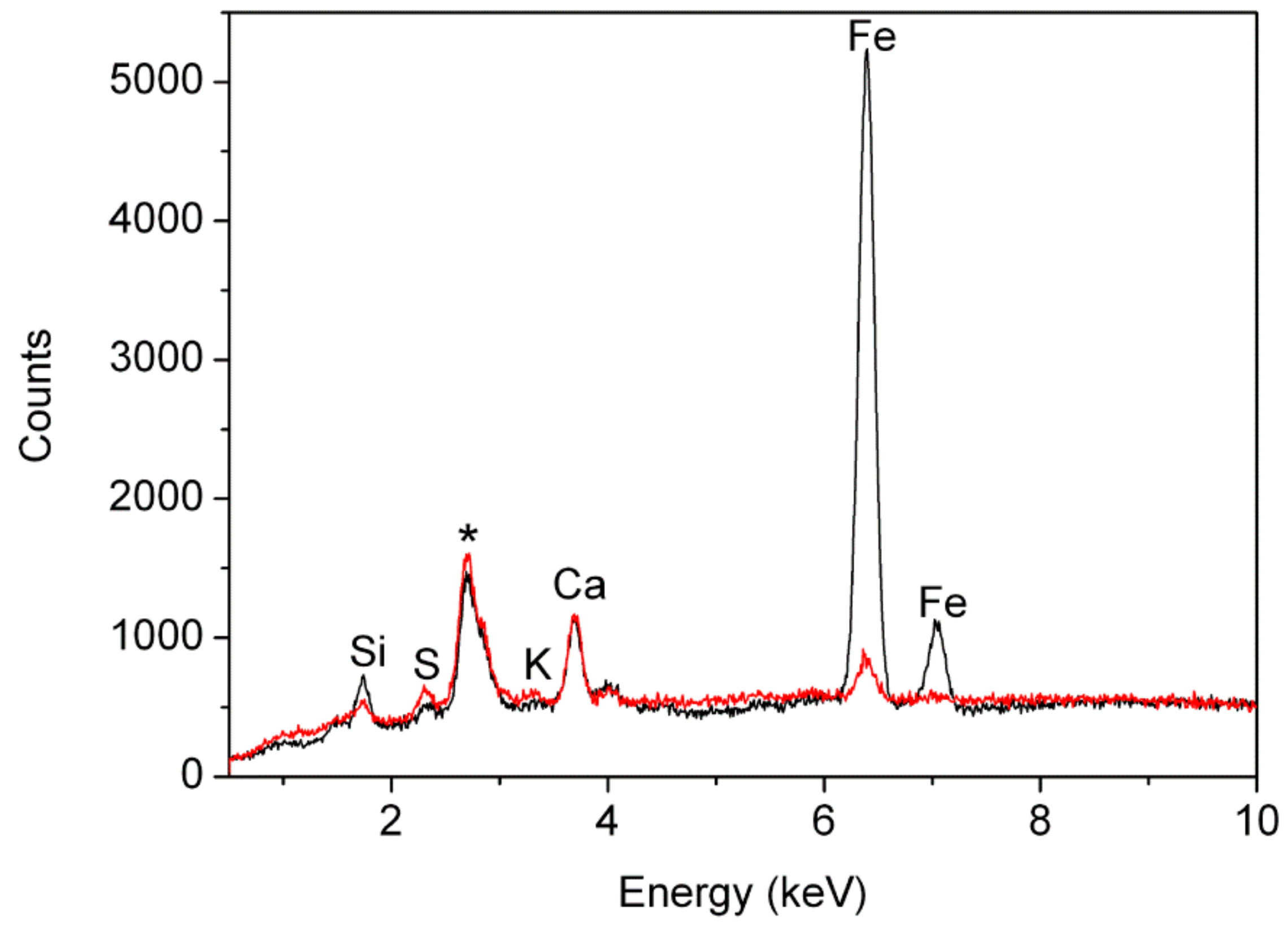 Molecules 24 03761 g006