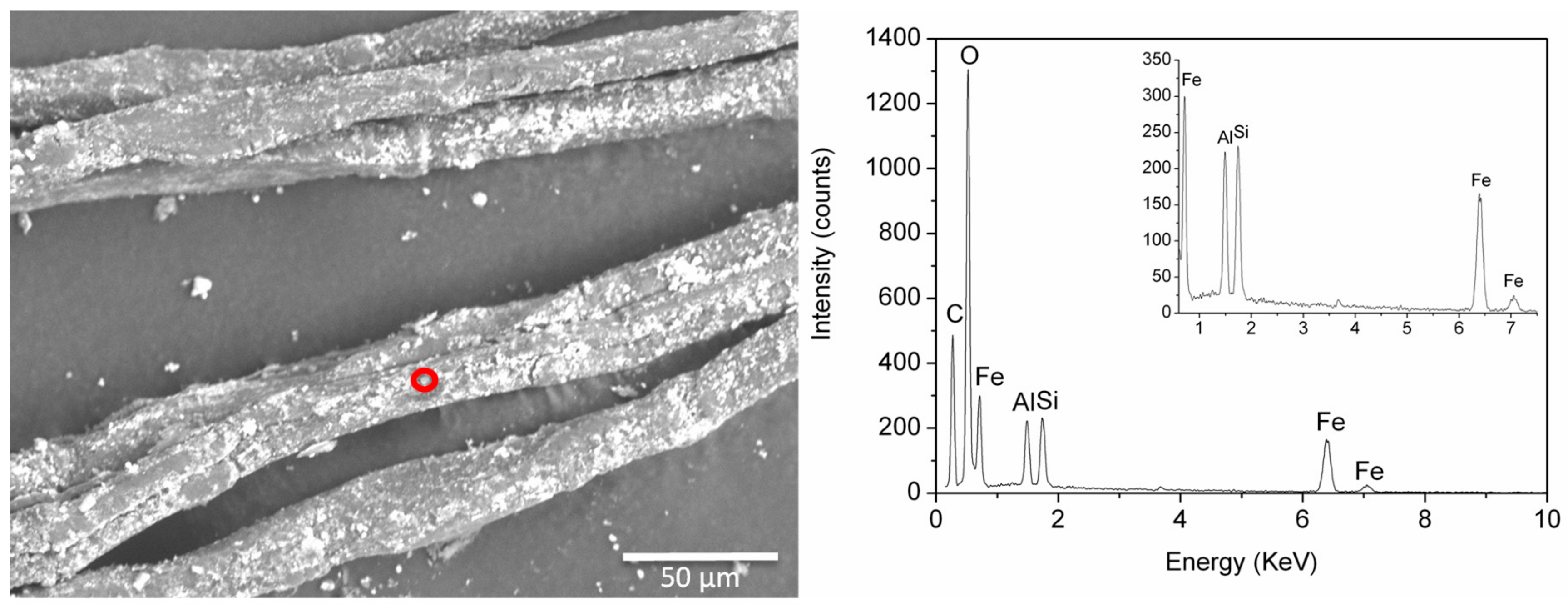 Molecules 24 03761 g007