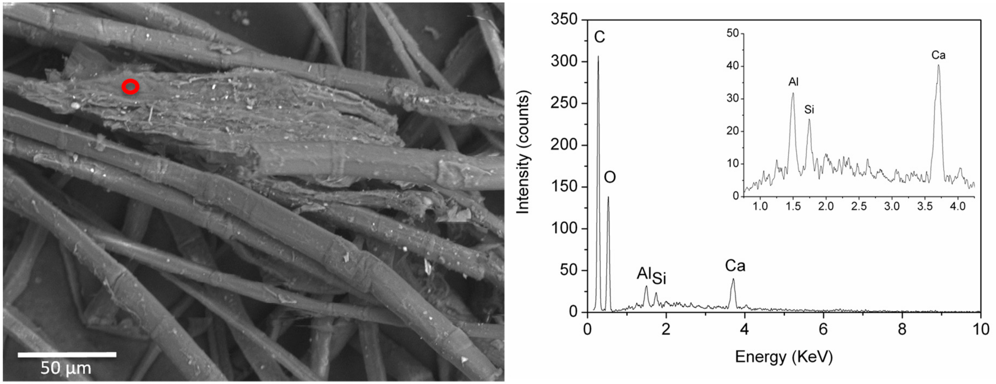 Molecules 24 03761 g008