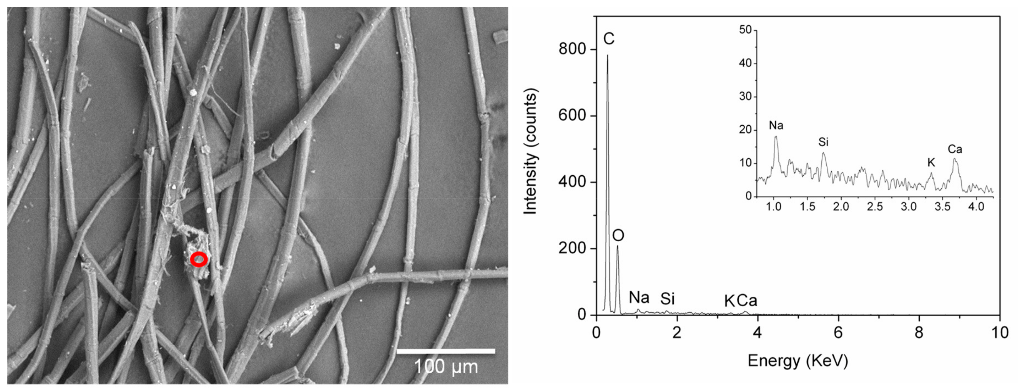 Molecules 24 03761 g009