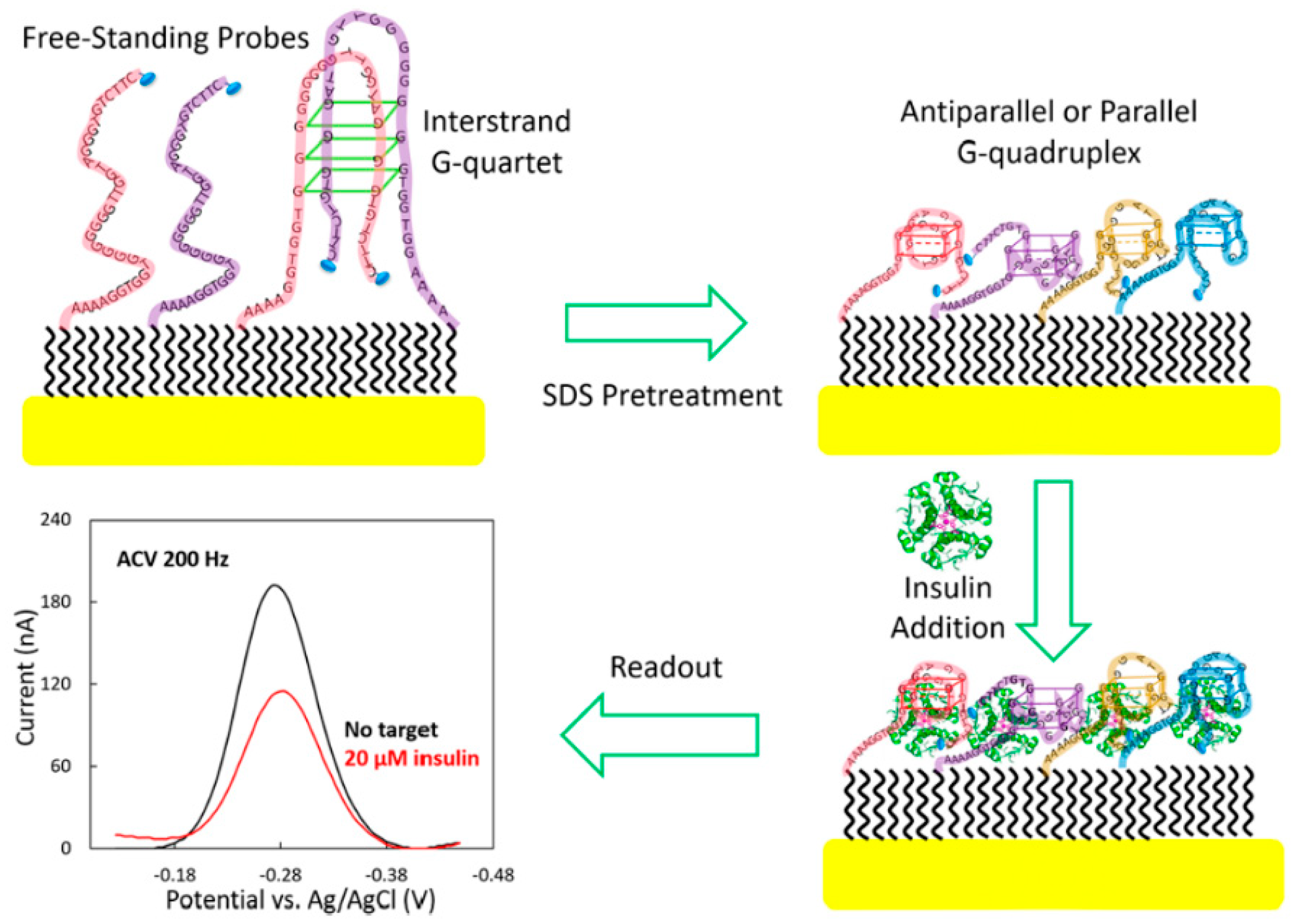 Molecules 24 03781 g007