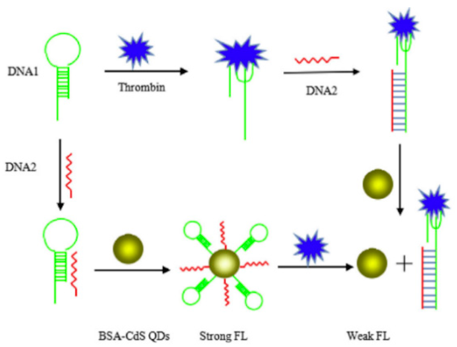 Molecules 24 03781 g009