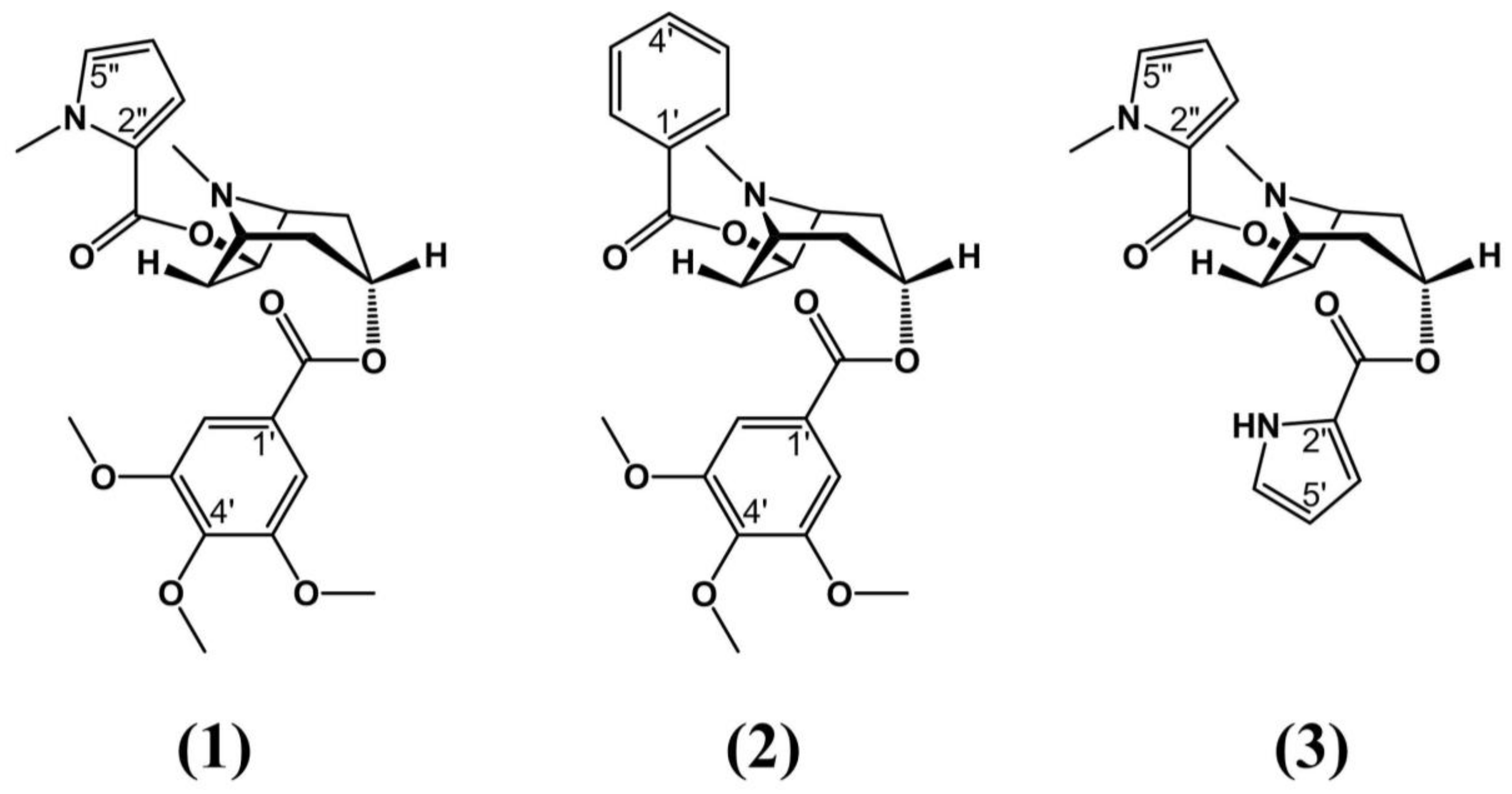 Molecules 24 03788 g002