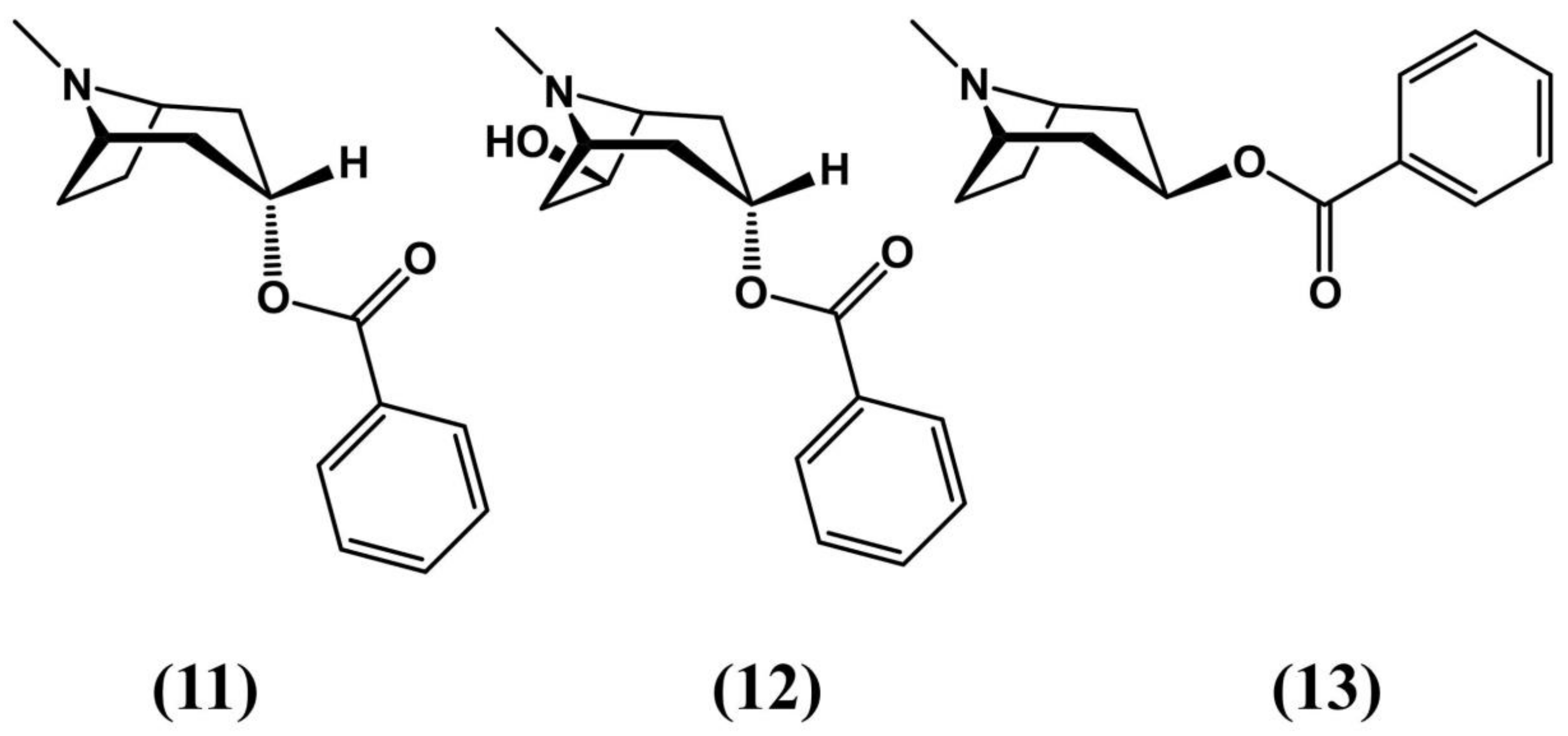 Molecules 24 03788 g006