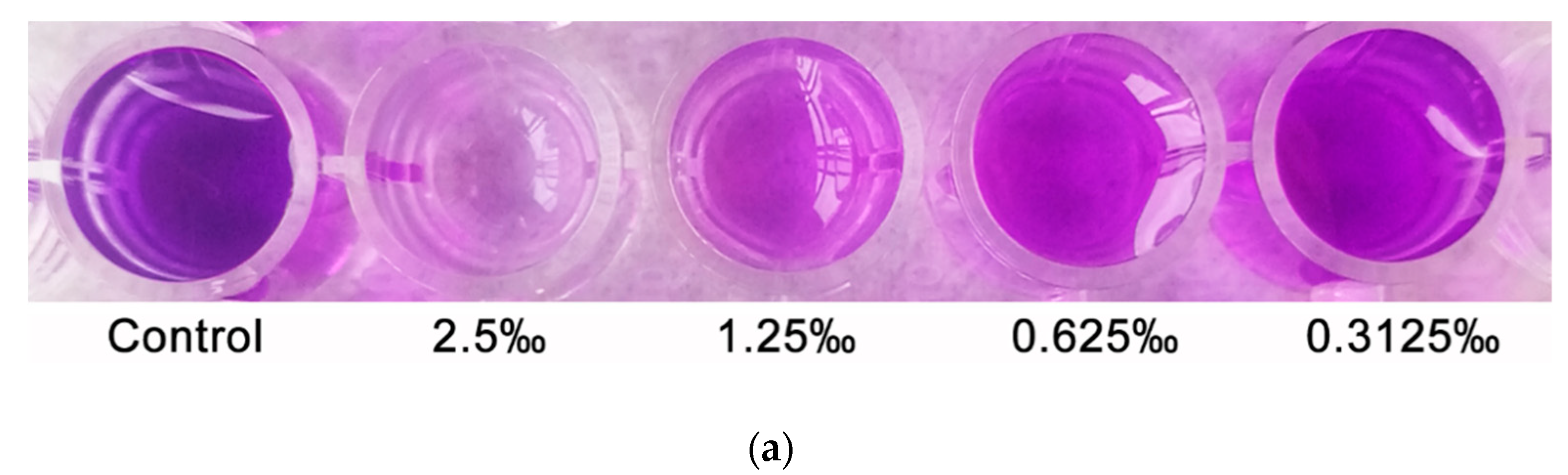 Molecules 24 03792 g005a