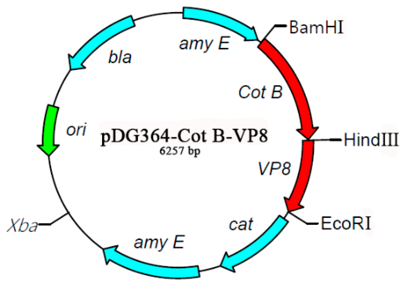 Molecules 24 03793 g003 Molecules 24 03793 g003