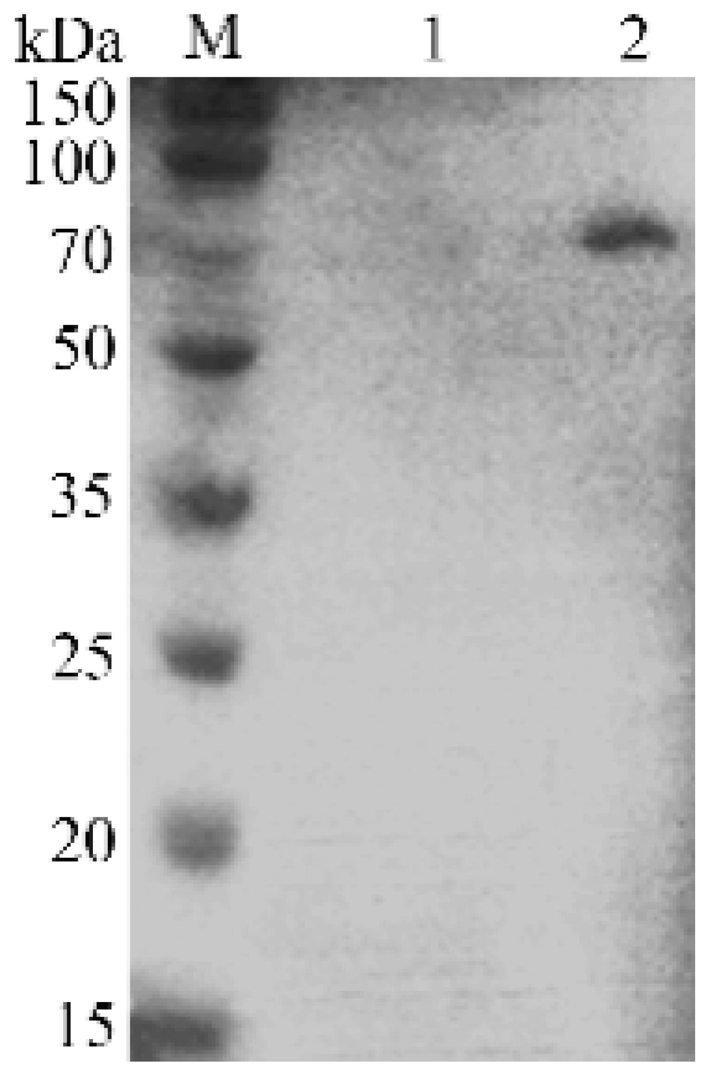 Molecules 24 03793 g007 Molecules 24 03793 g007