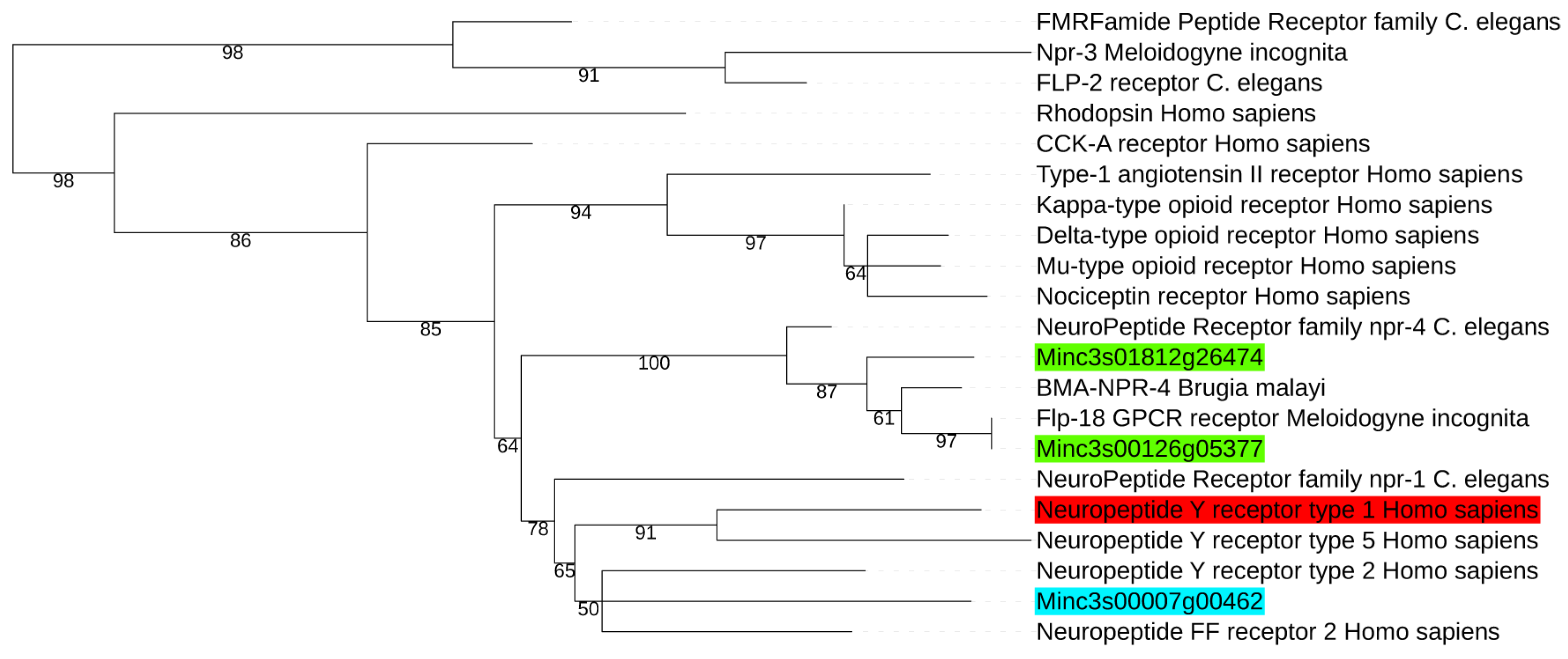 Molecules 24 03798 g002