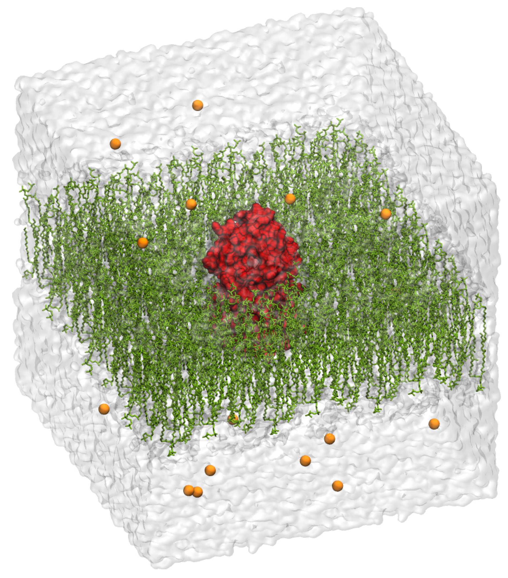 Molecules 24 03798 g004