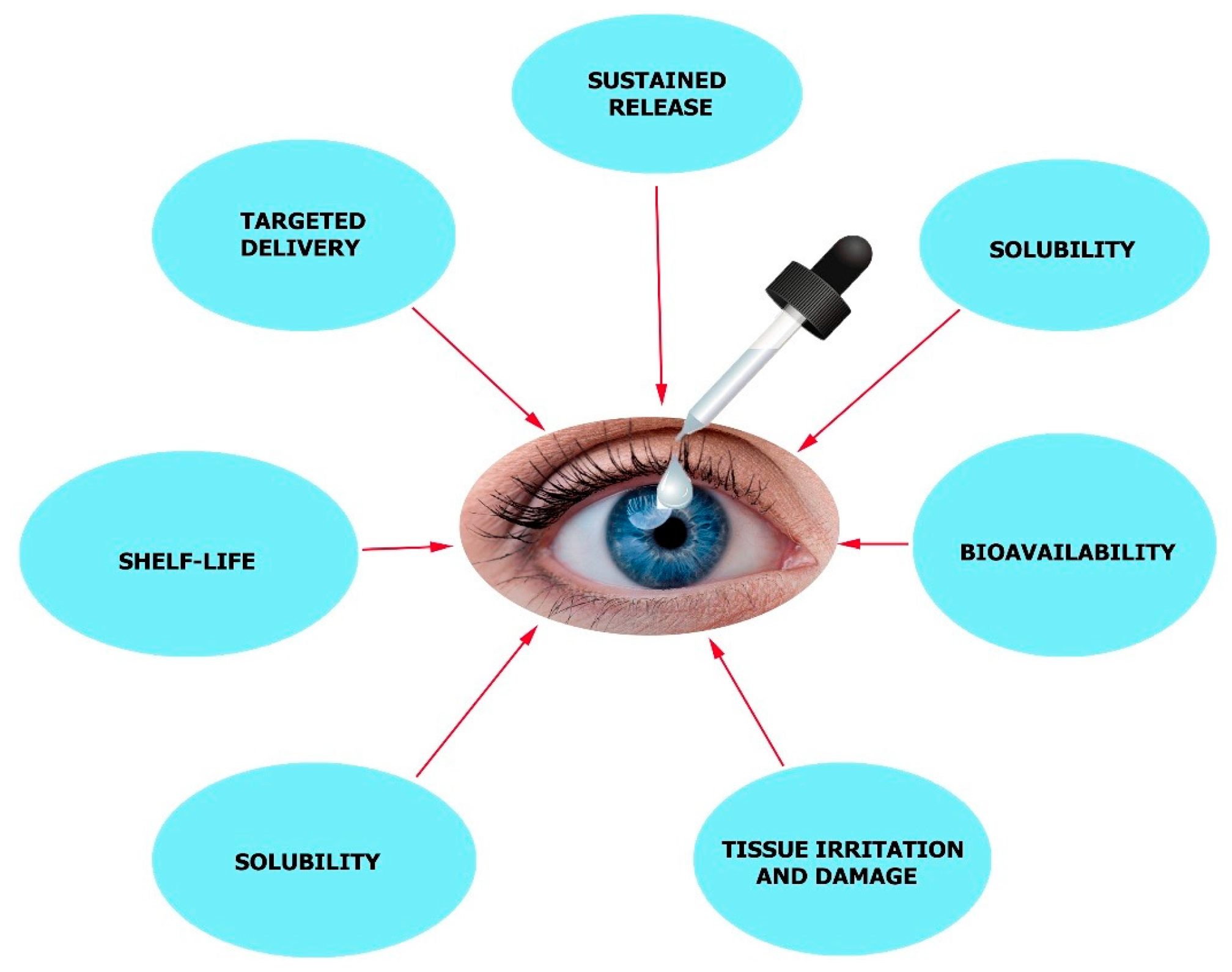 Molecules 24 03805 g003