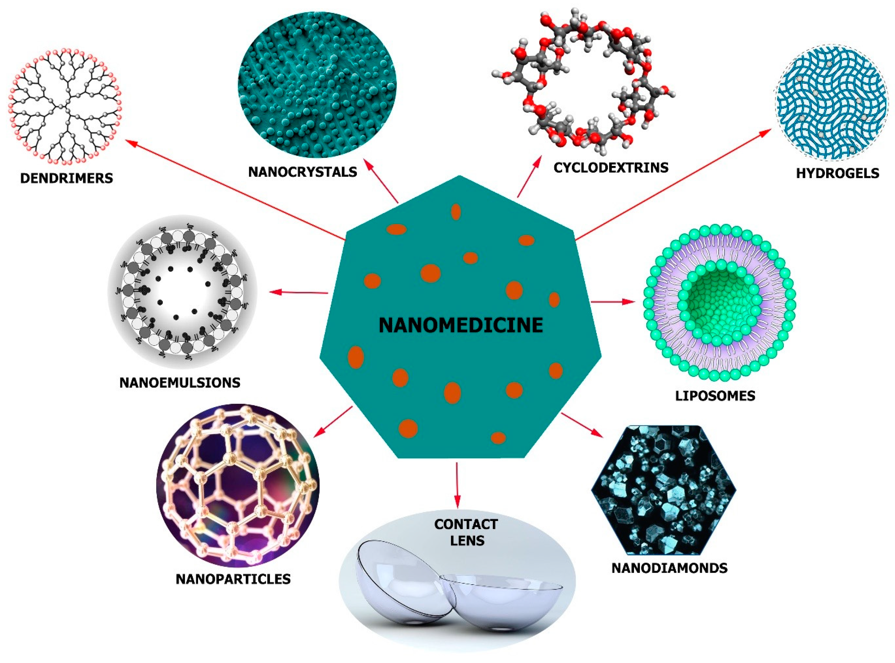 Molecules 24 03805 g004