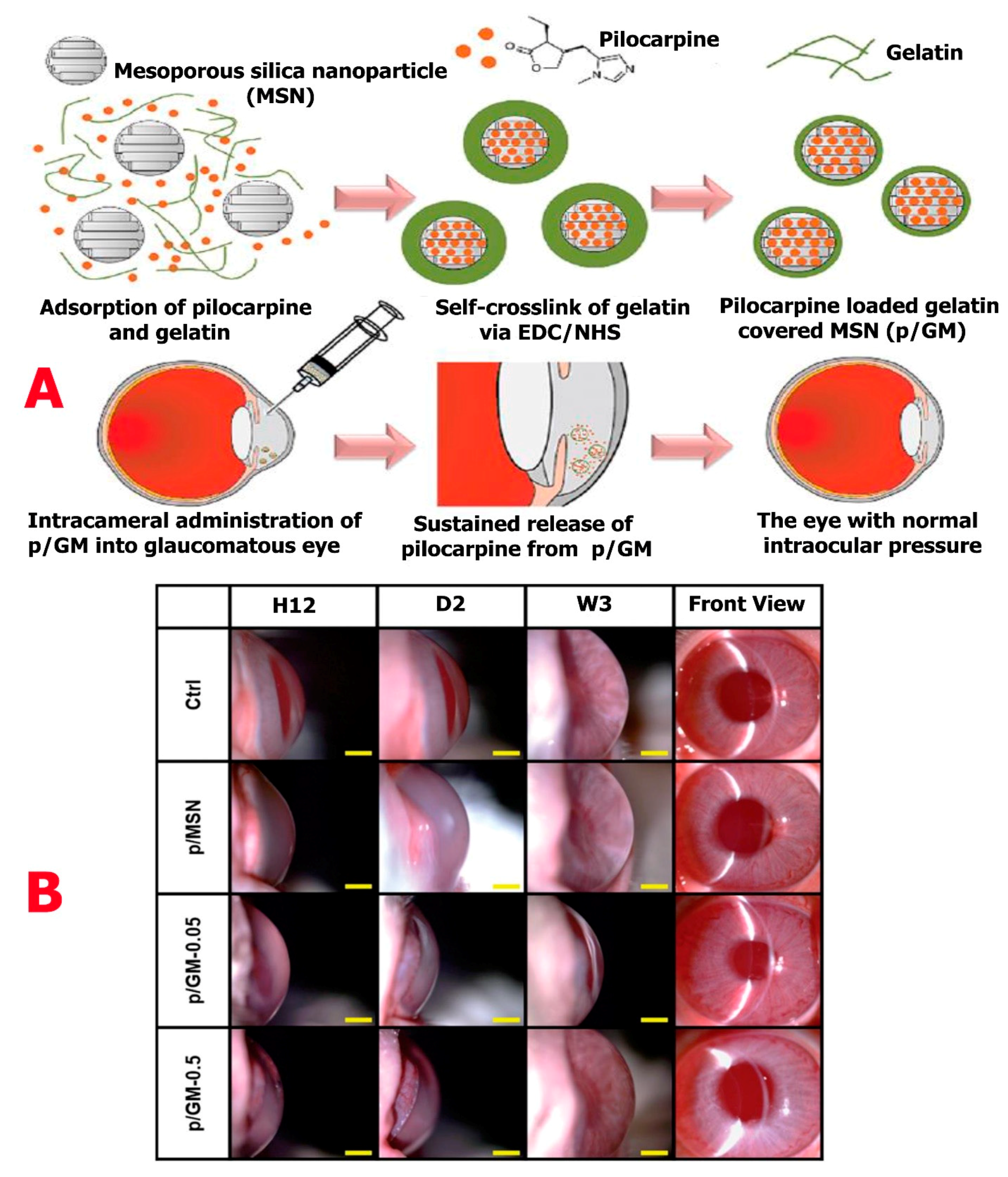 Molecules 24 03805 g006