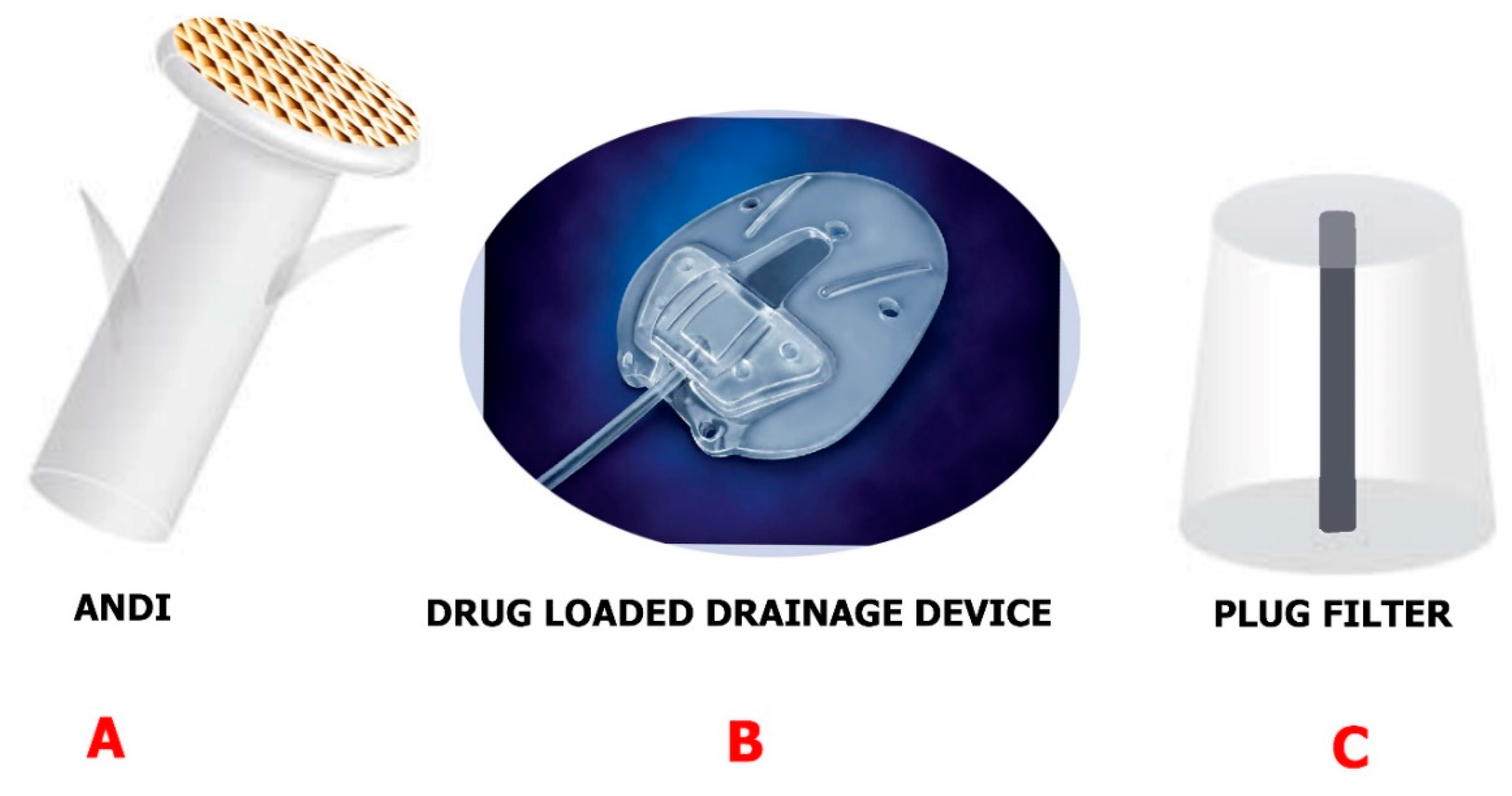 Molecules 24 03805 g008
