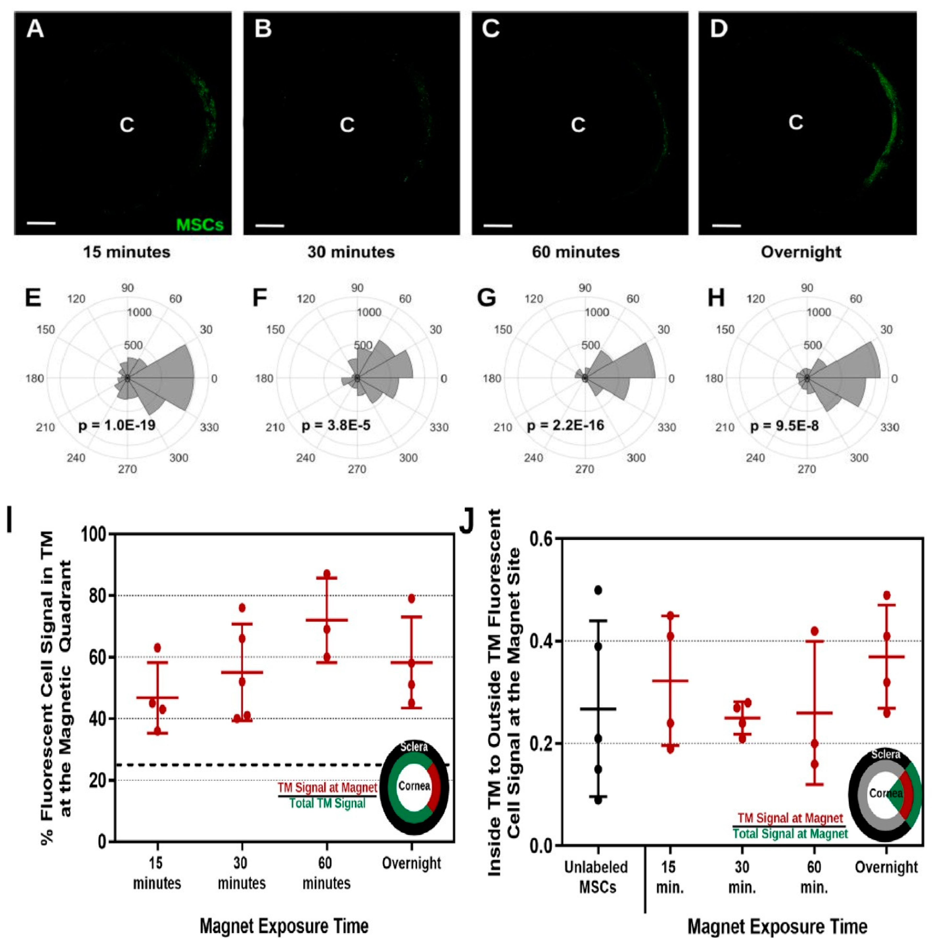 Molecules 24 03805 g009