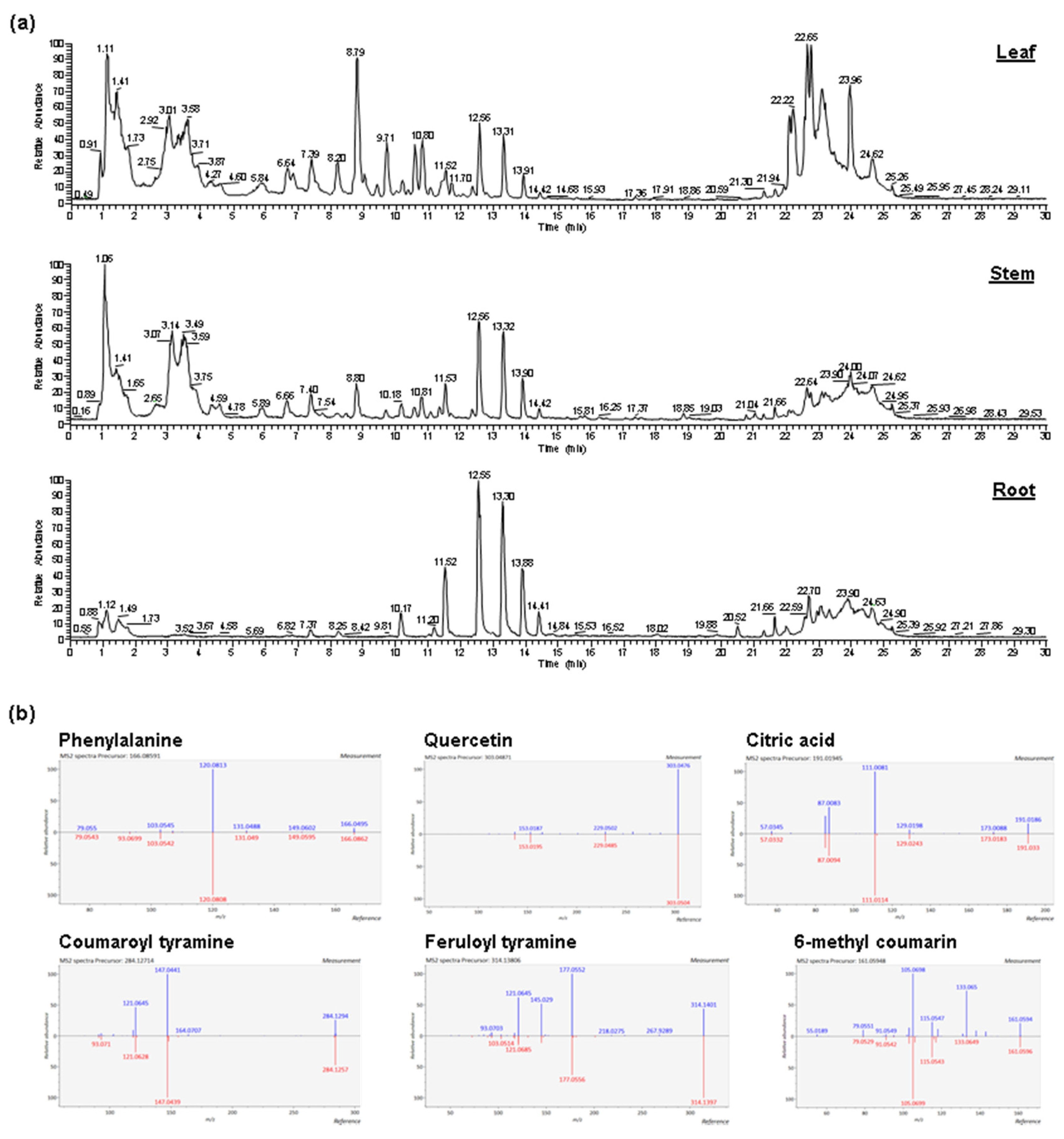 Molecules 24 03814 g001