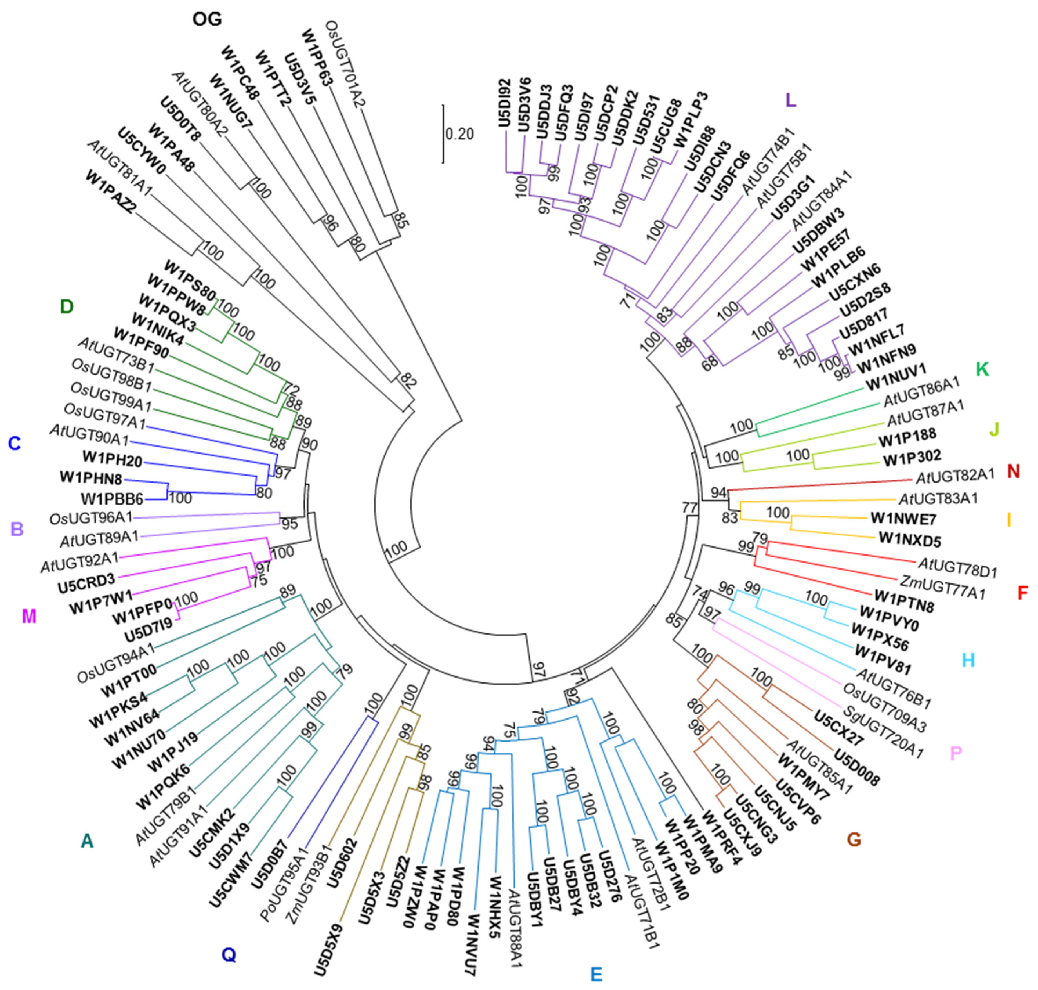 Molecules 24 03814 g003