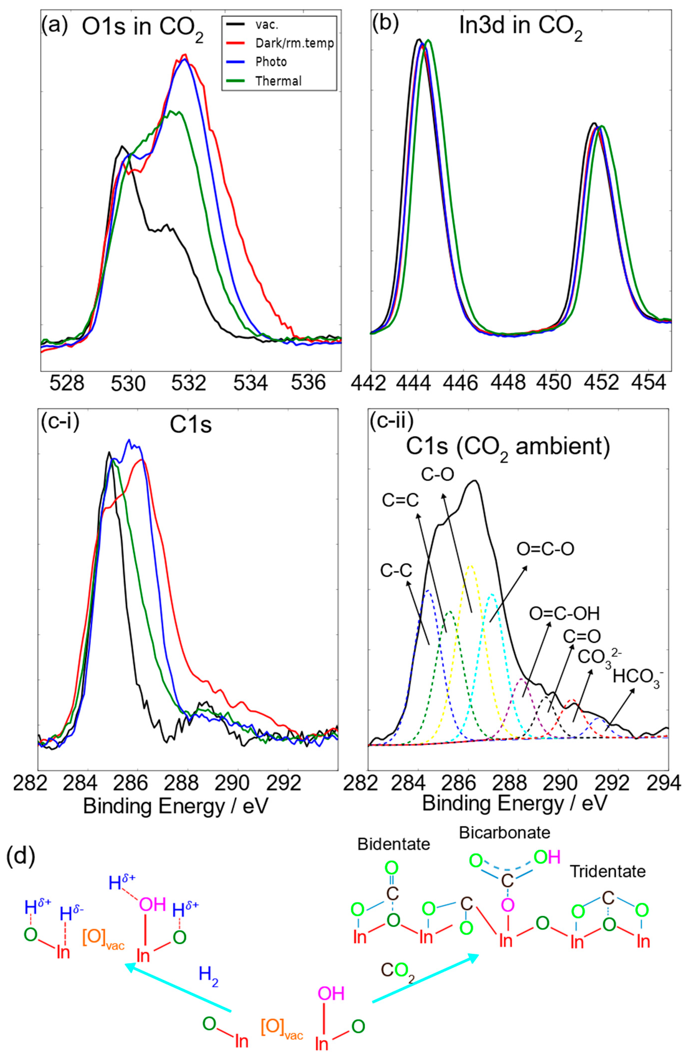 Molecules 24 03818 g003