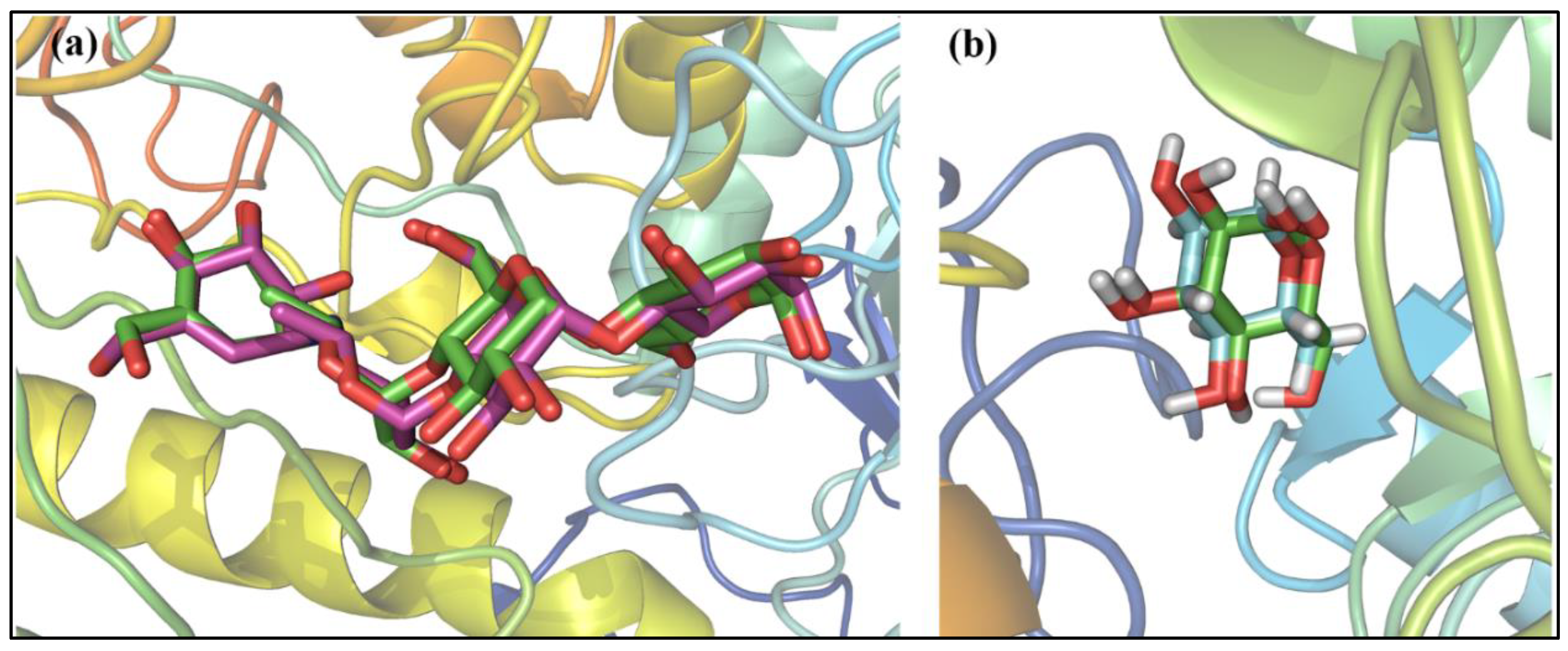 Molecules 24 03819 g002