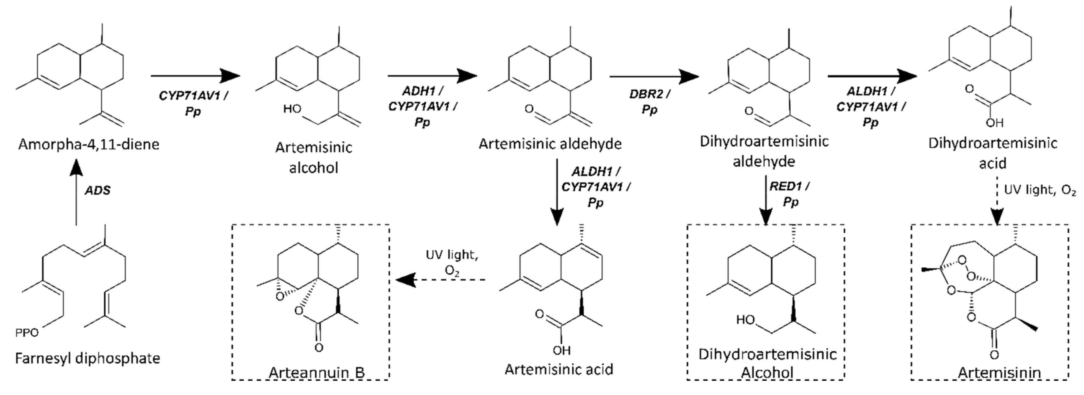 Molecules 24 03822 sch001
