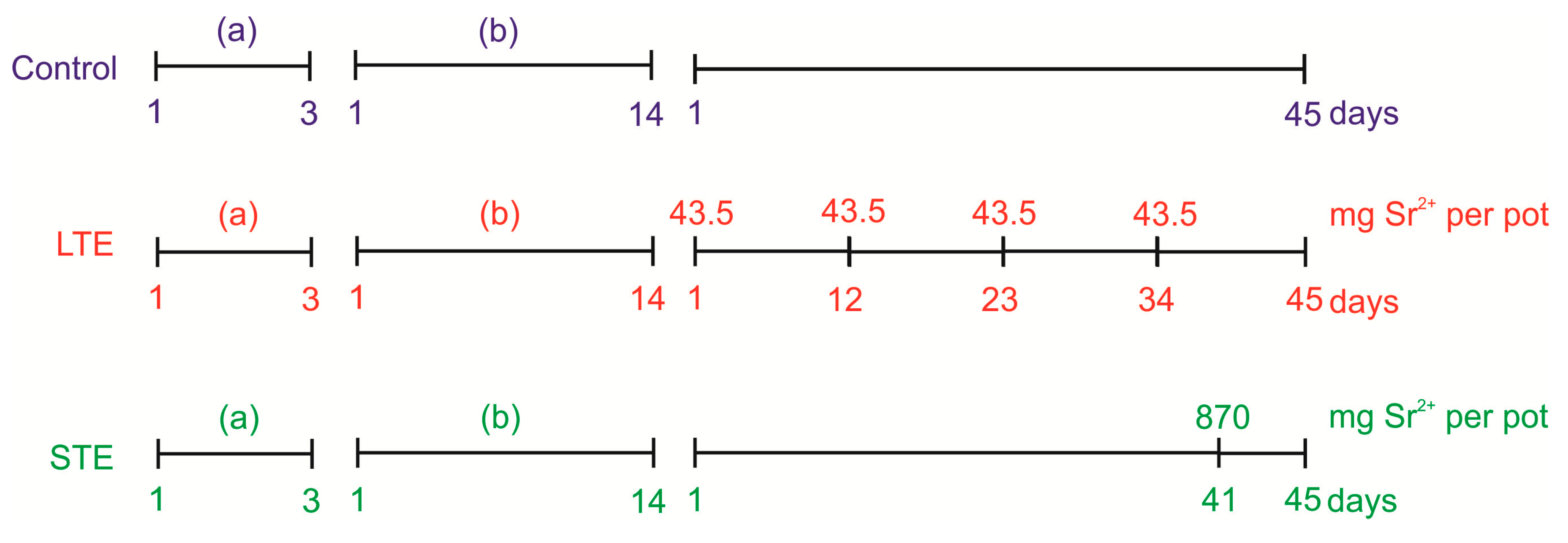 Molecules 24 03825 g006 Molecules 24 03825 g006