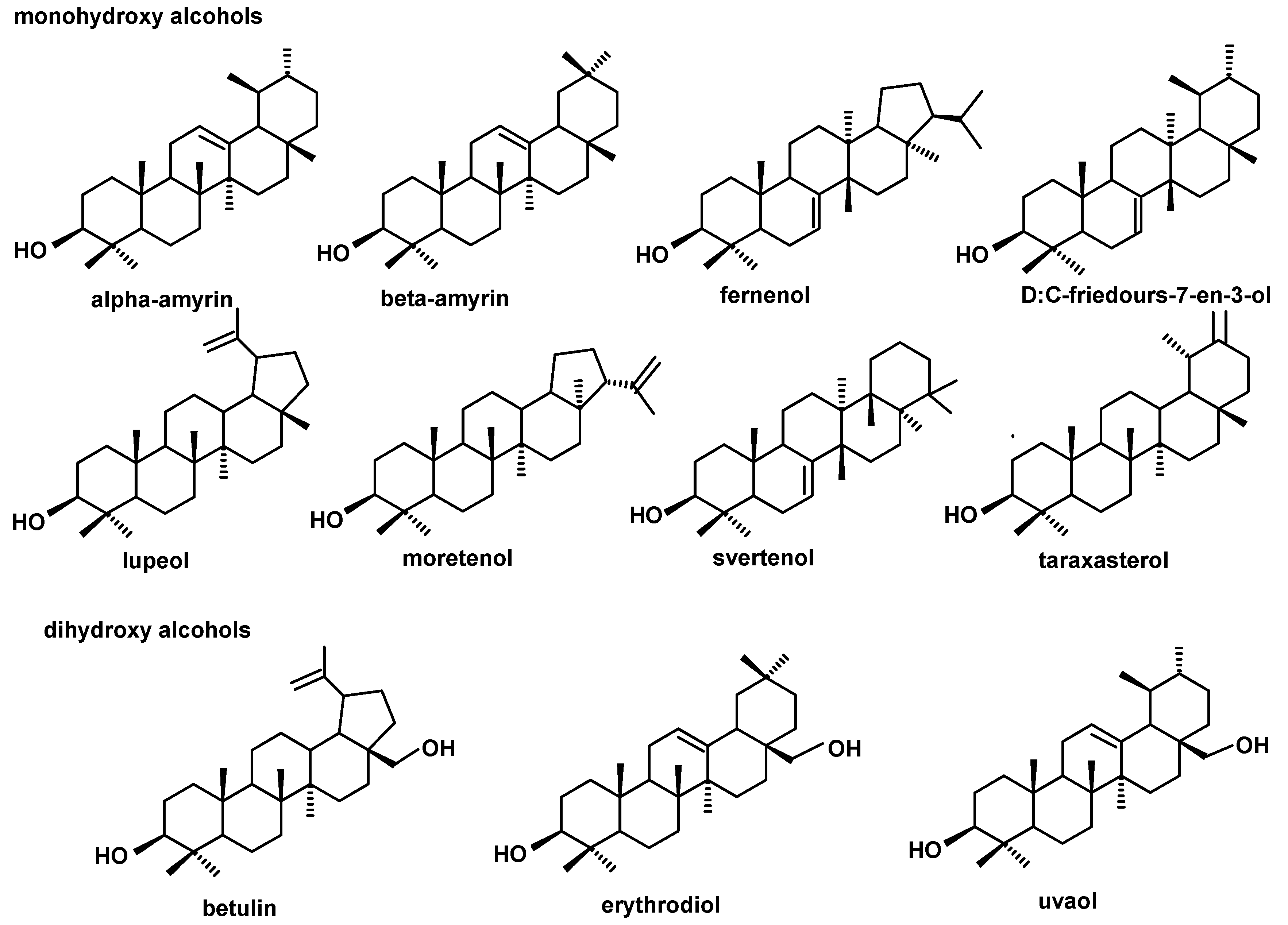 Molecules 24 03826 g004