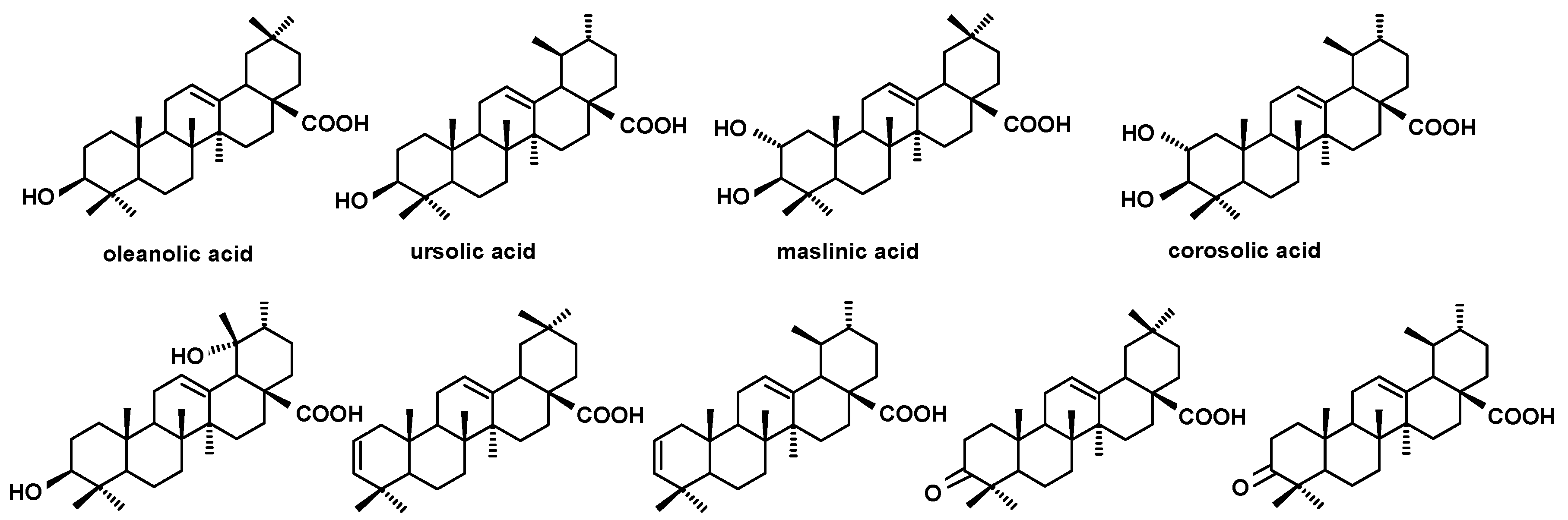 Molecules 24 03826 g006