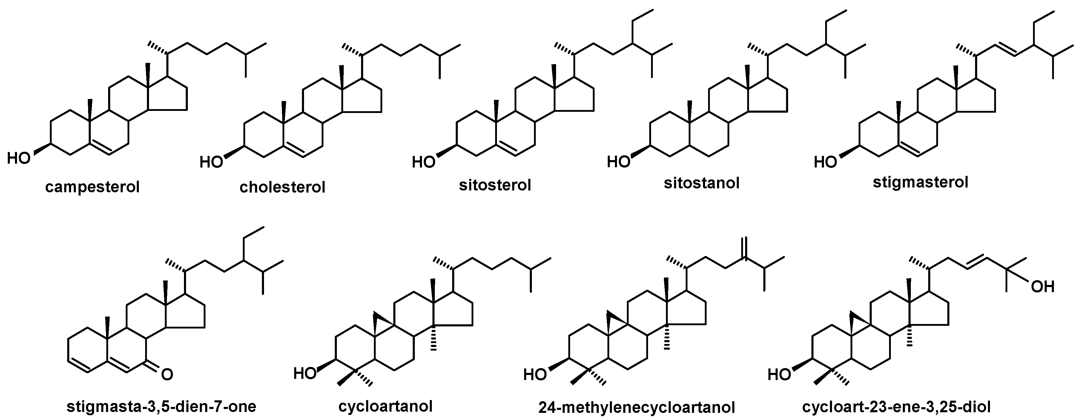 Molecules 24 03826 g007