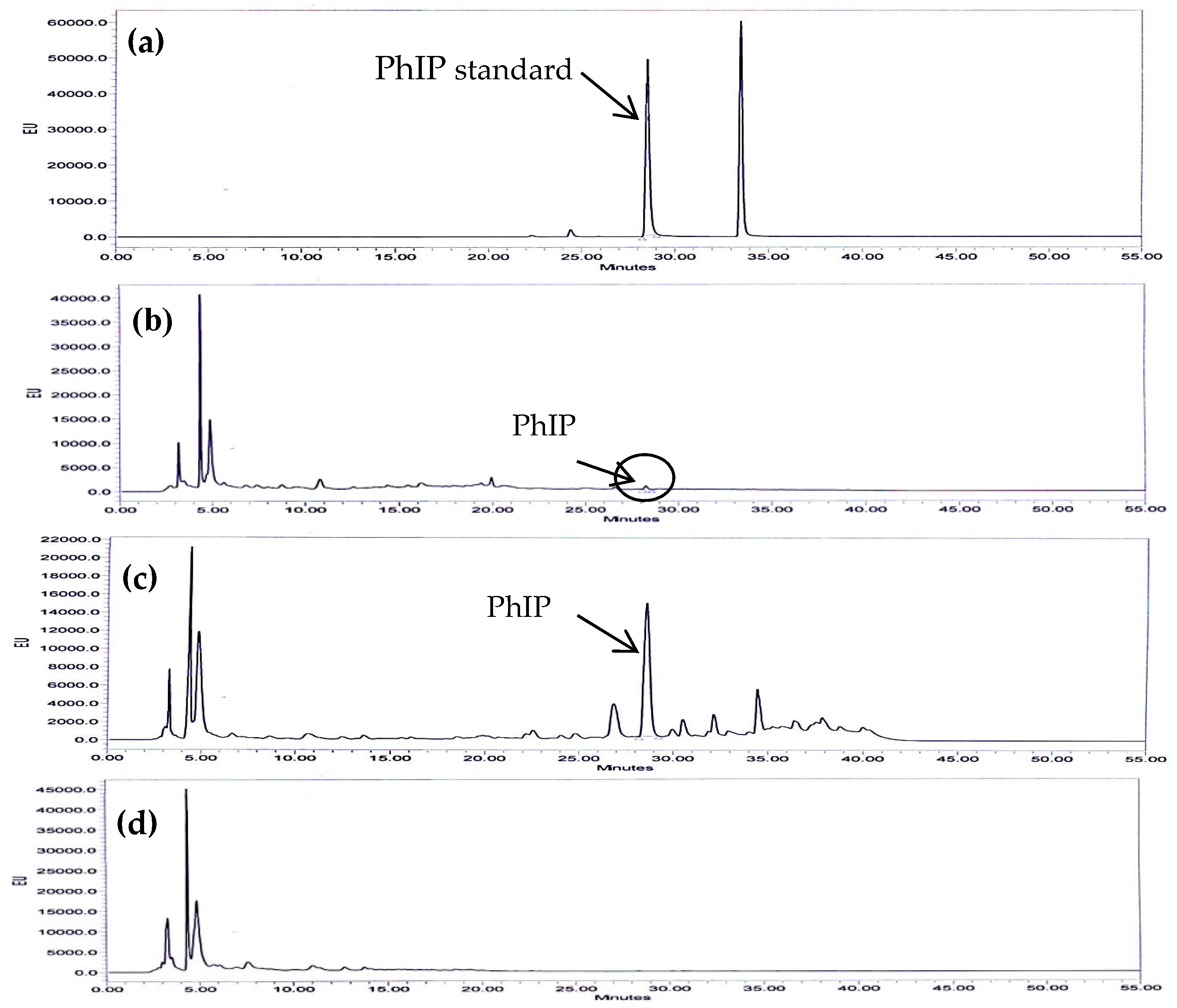 Molecules 24 03828 g001