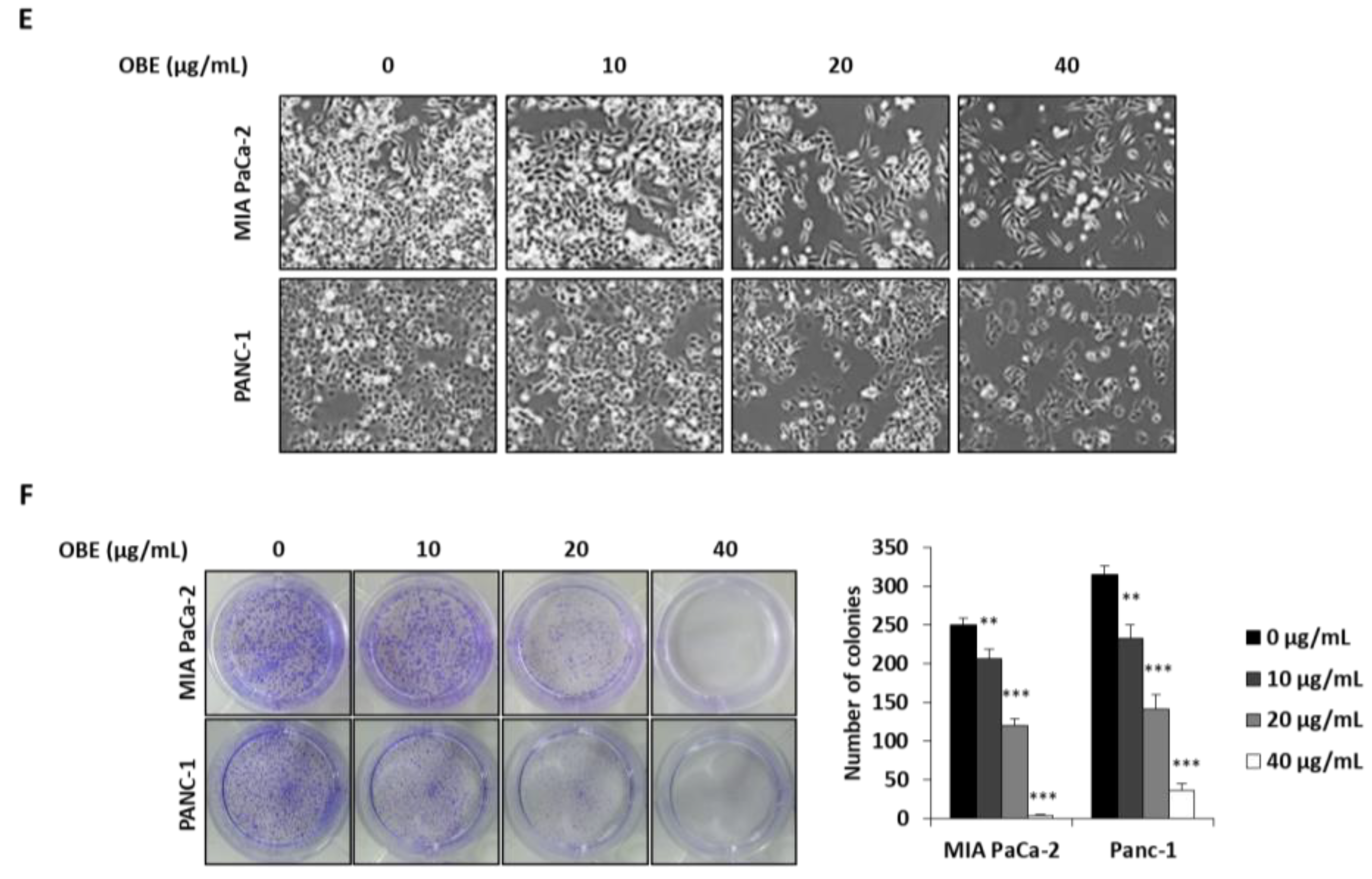 Molecules 24 03829 g001b
